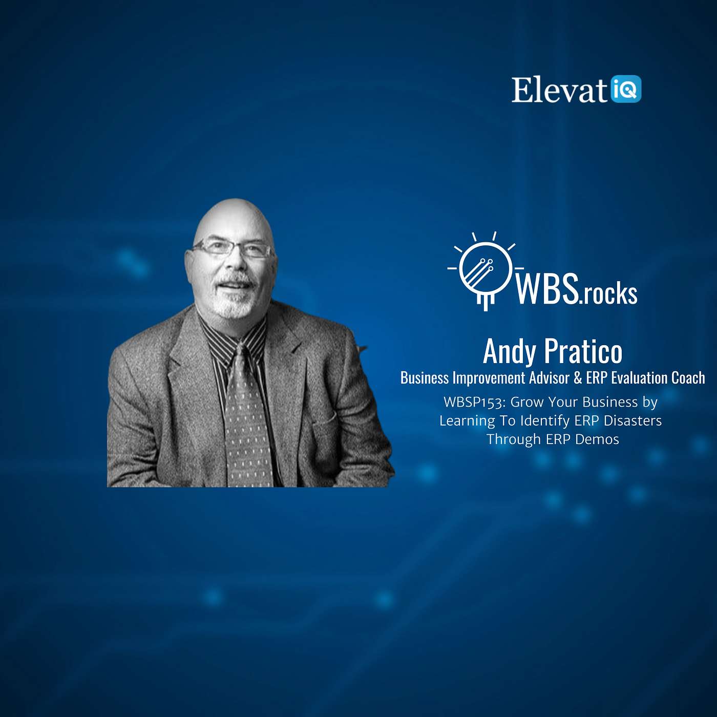 WBSP153: Grow Your Business by Learning To Identify ERP Disasters Through ERP Demos w/ Andy Pratico