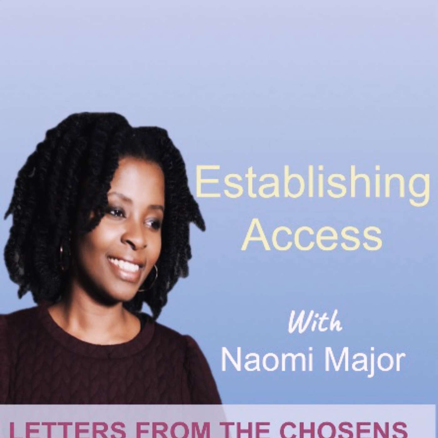 #22 Establishing Access episode artwork