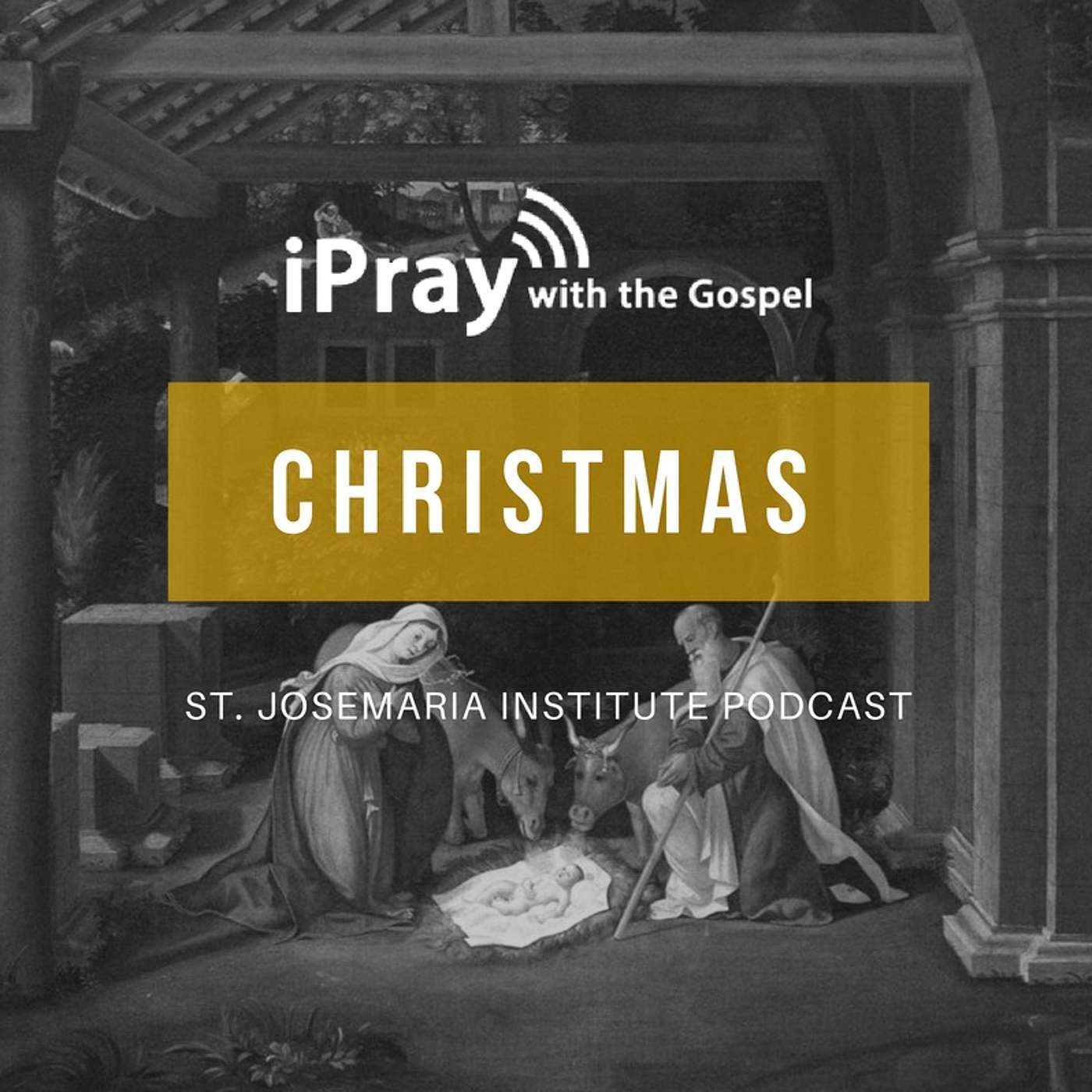 His Own People Received Him Not | iPray with the Gospel