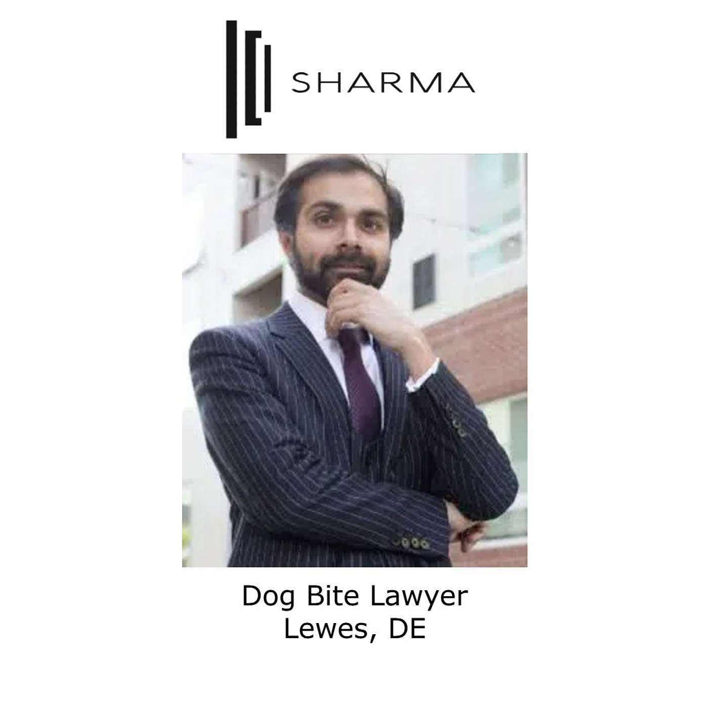 Dog Bite Lawyer Lewes, DE episode artwork