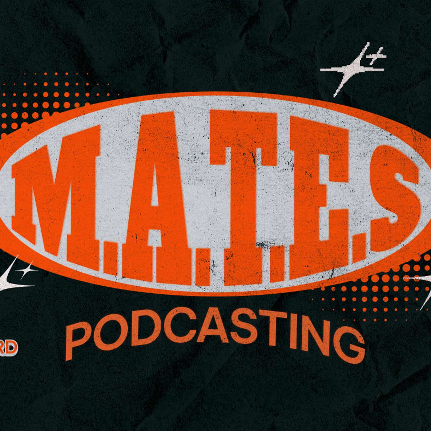 M.A.T.E.S INC