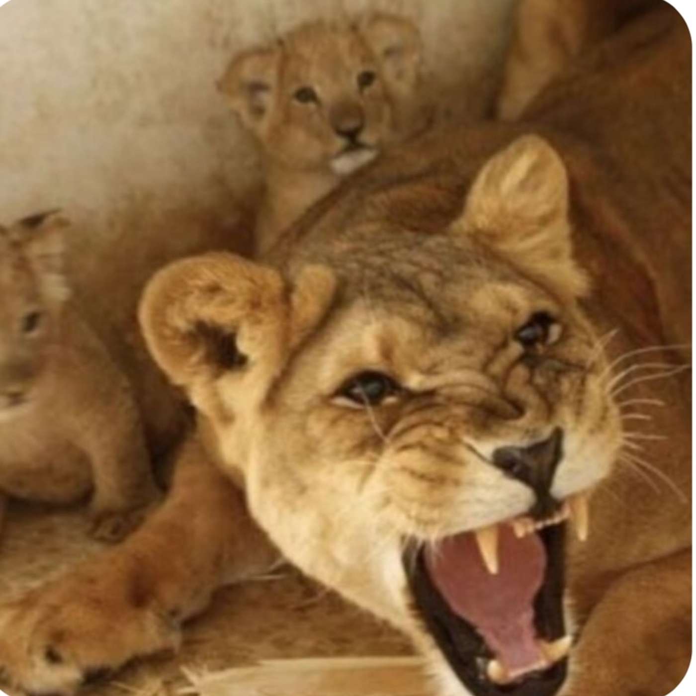 Patriot Dad Speaks Up About Being Denied Indigency, A Victim Of Abuse And Being Forced To Wear An Ankle Monitor