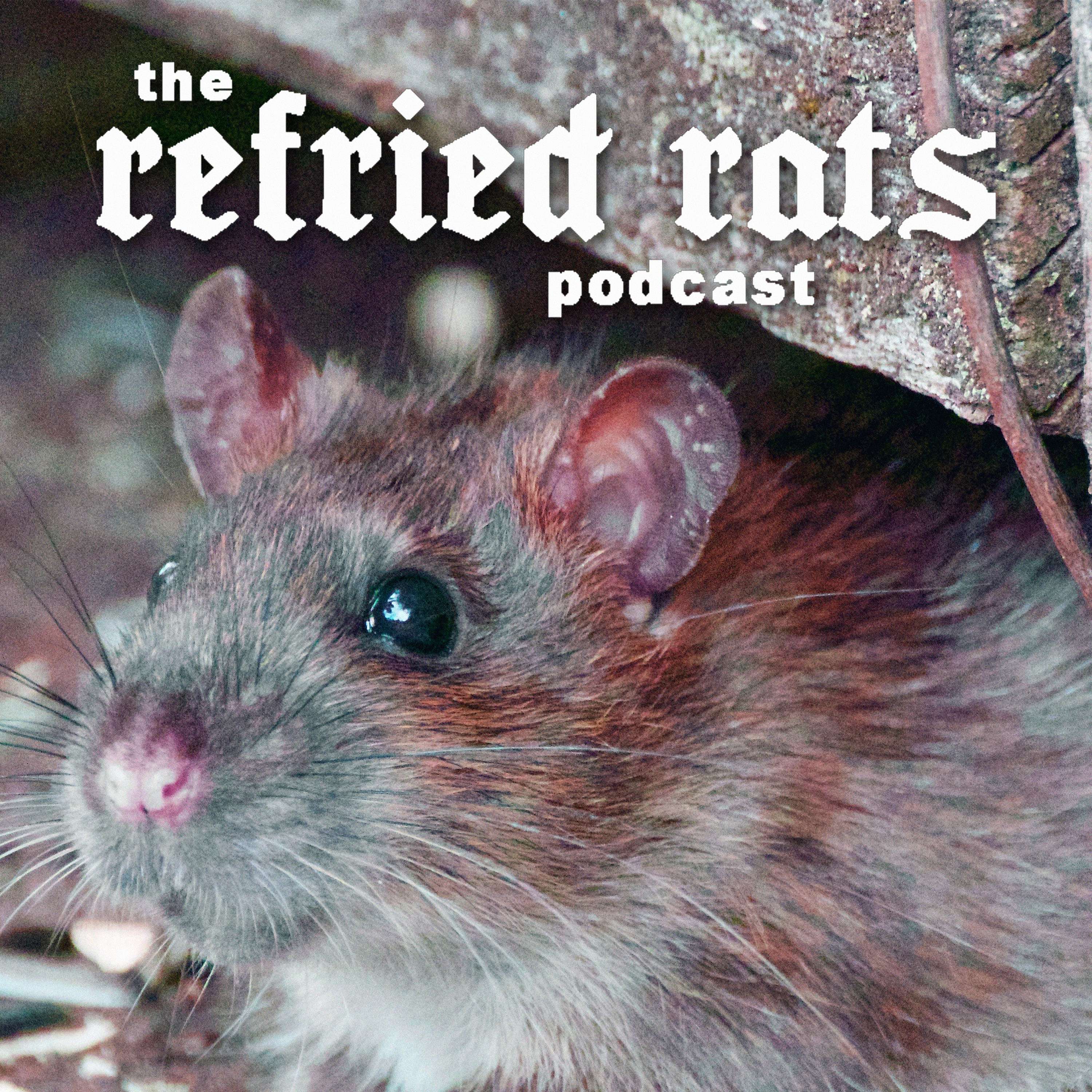 refried rats
