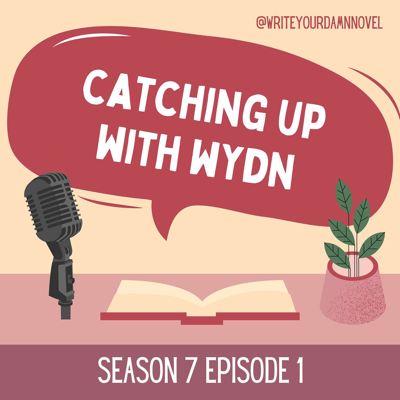 Catching up with Write Your Damn Novel!