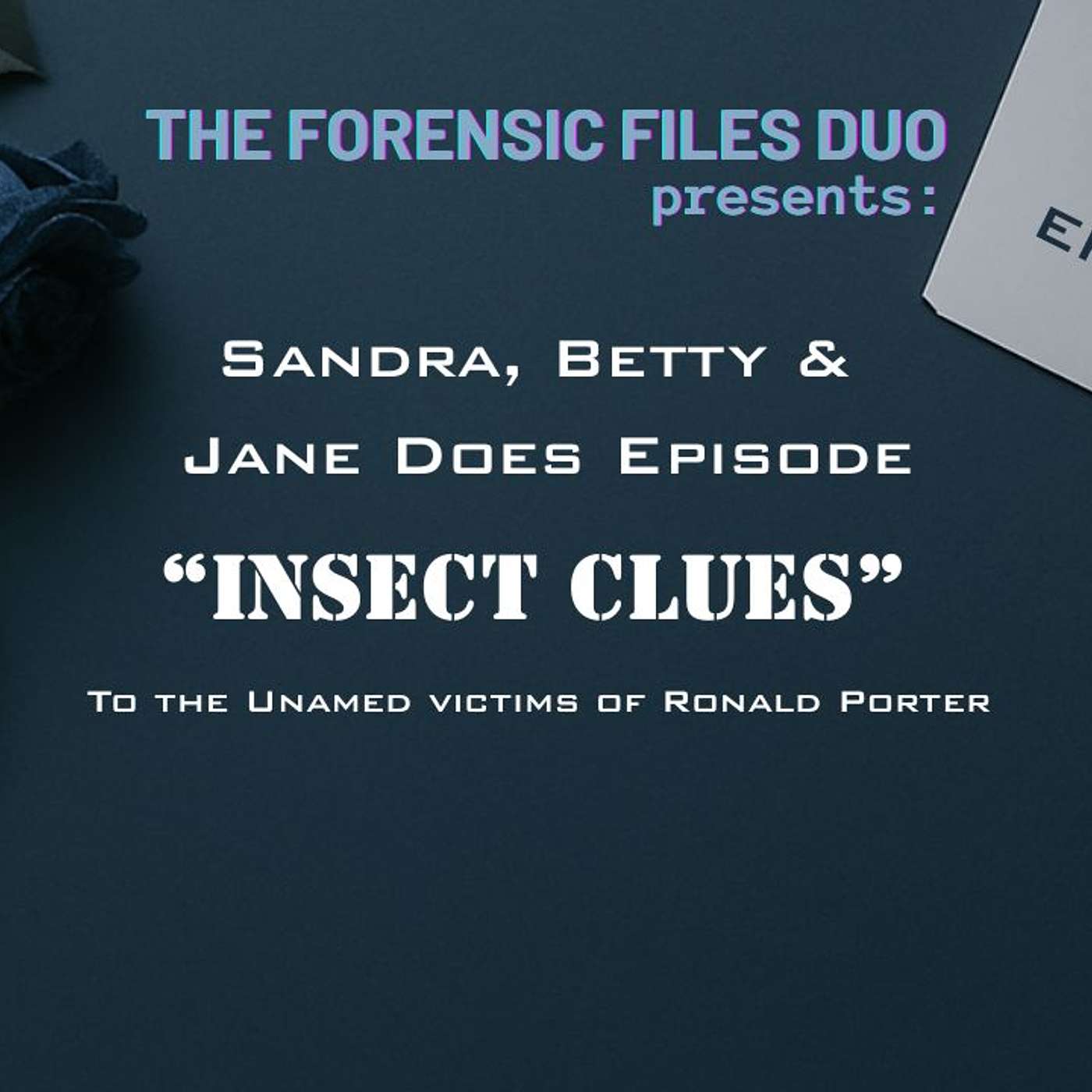 Sandra, Betty & Jane Does Ep - "Insect Clues" episode artwork
