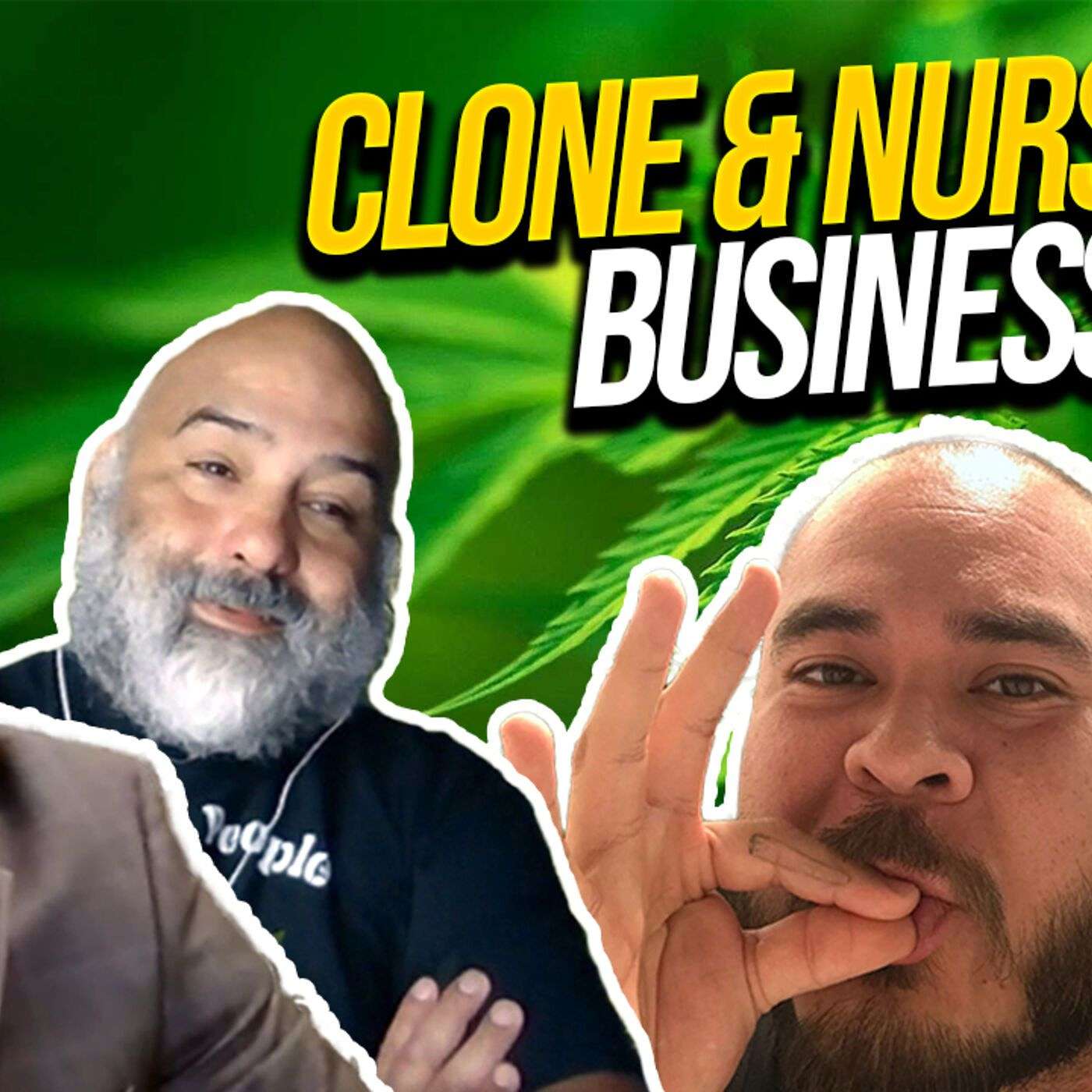Cloning Cannabis 101 | Cannabis clones & Propagation Nursery Business with Paul Valenzuela