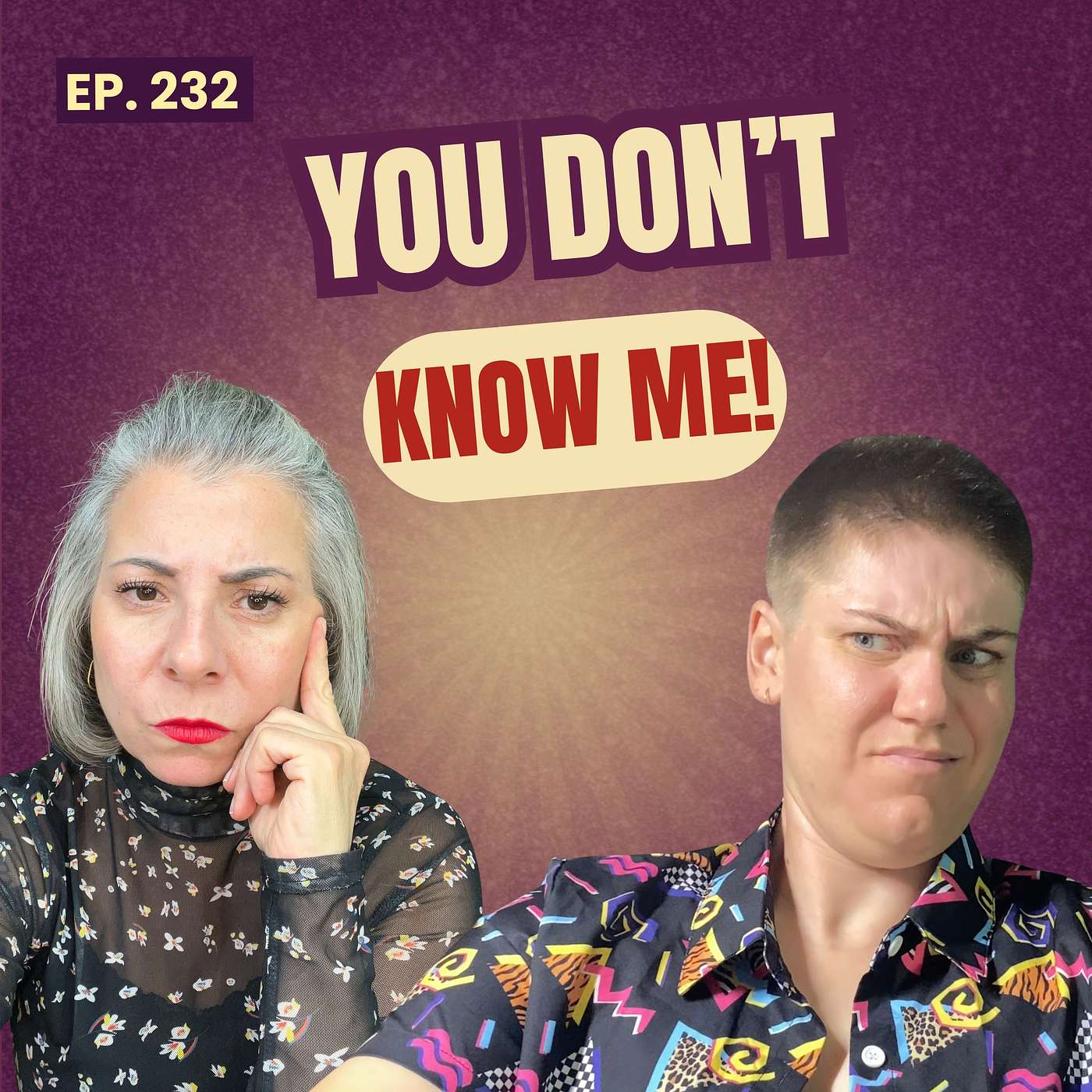 232: Feeling Misunderstood - When People Think They Know You episode artwork