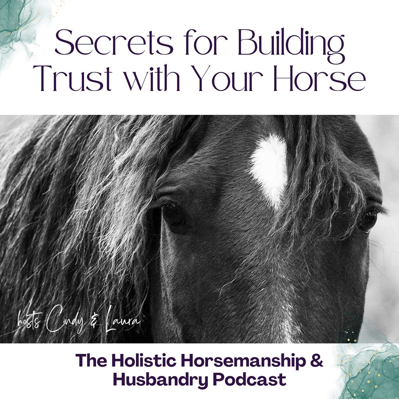 The Holistic Horsemanship and Husbandry Podcast