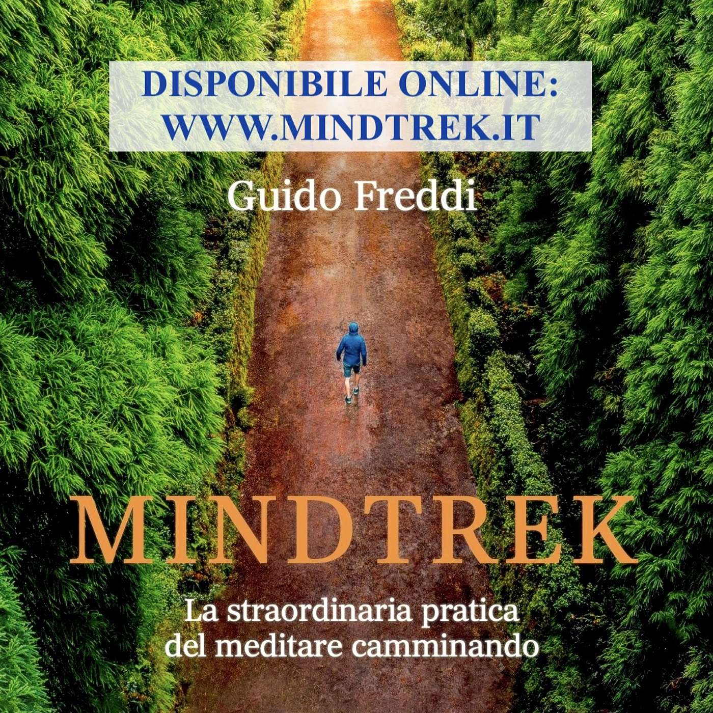 Mindtrek Podcast podcast artwork
