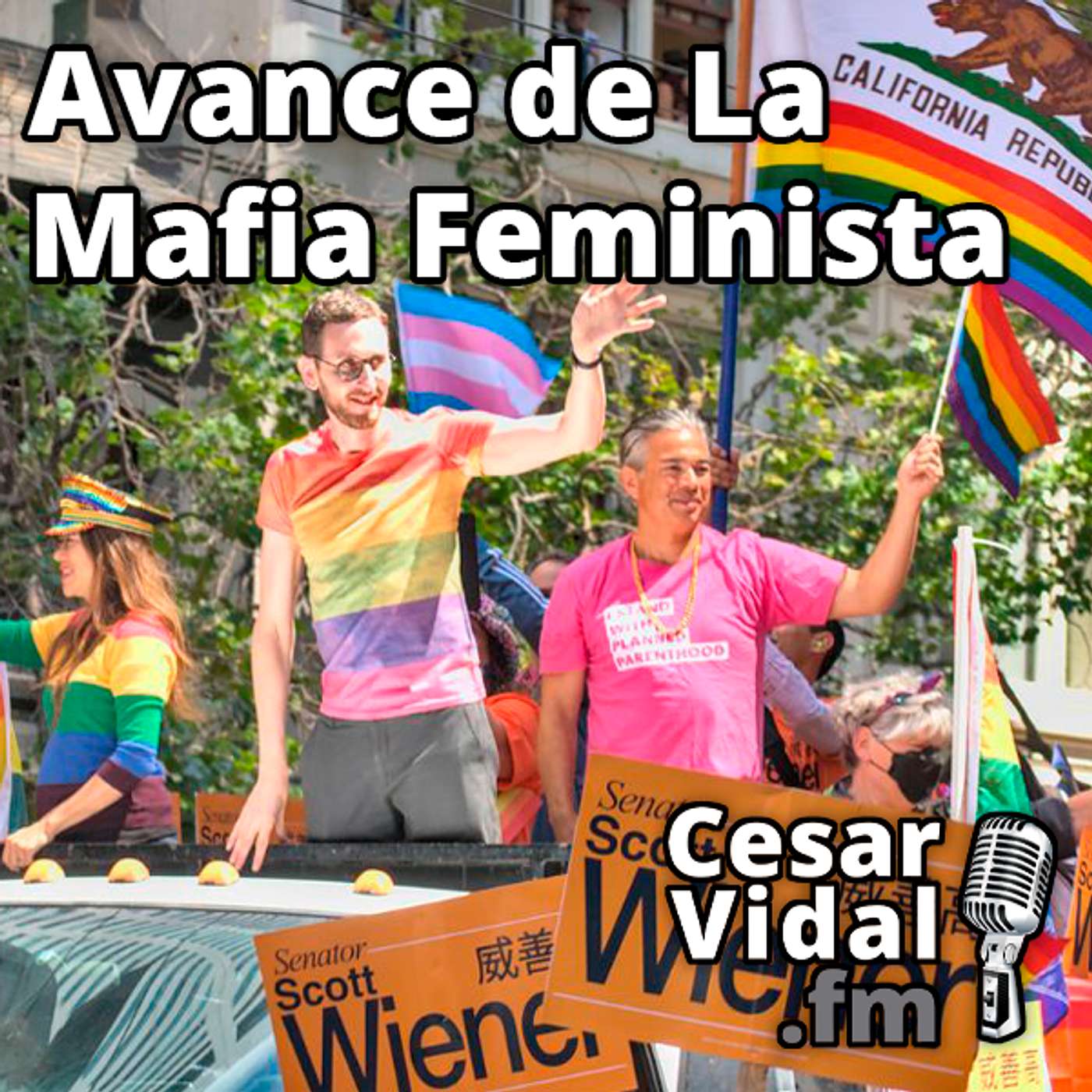 Avance de La Mafia Feminista - 21/06/24