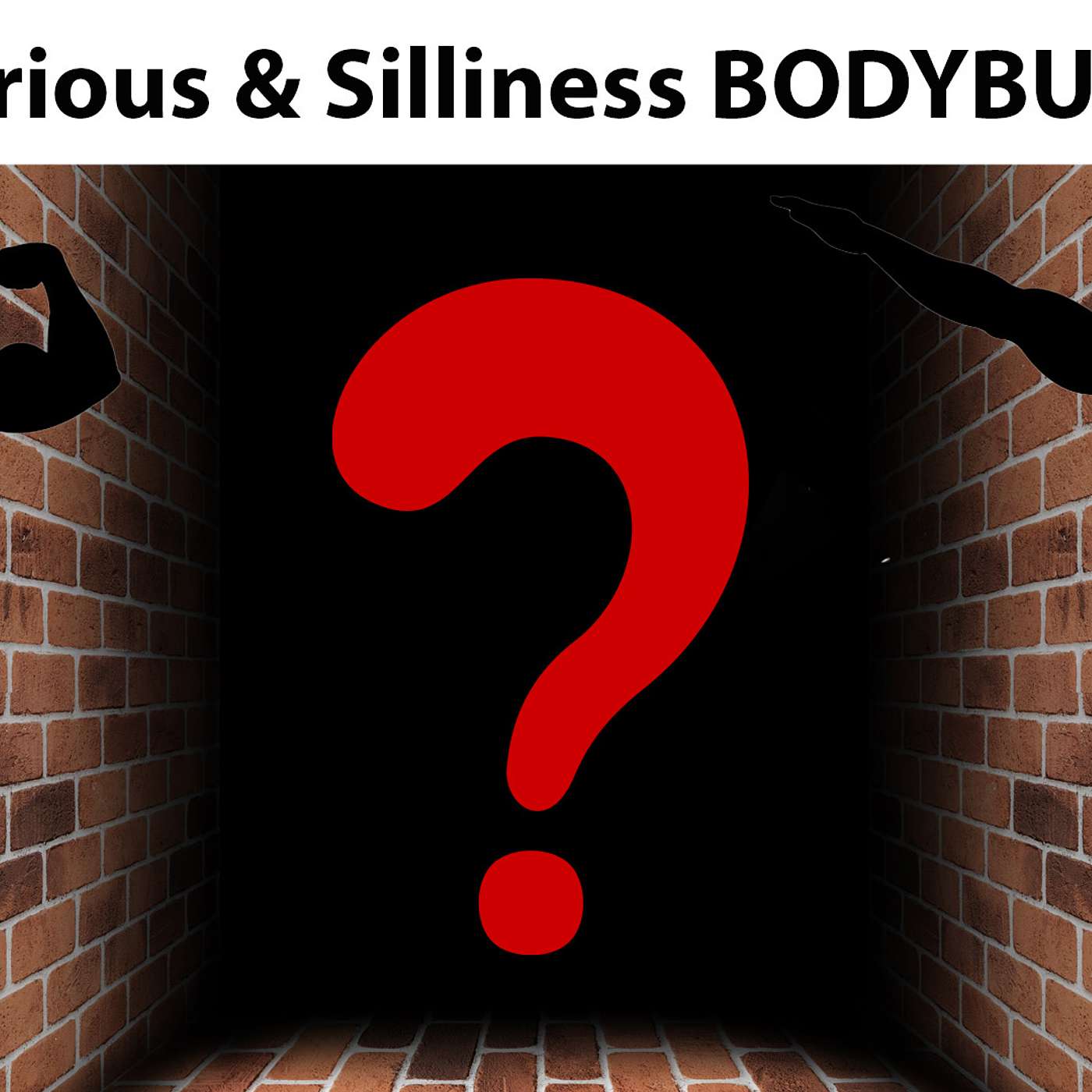 Serious and Silliness Bodybuilding