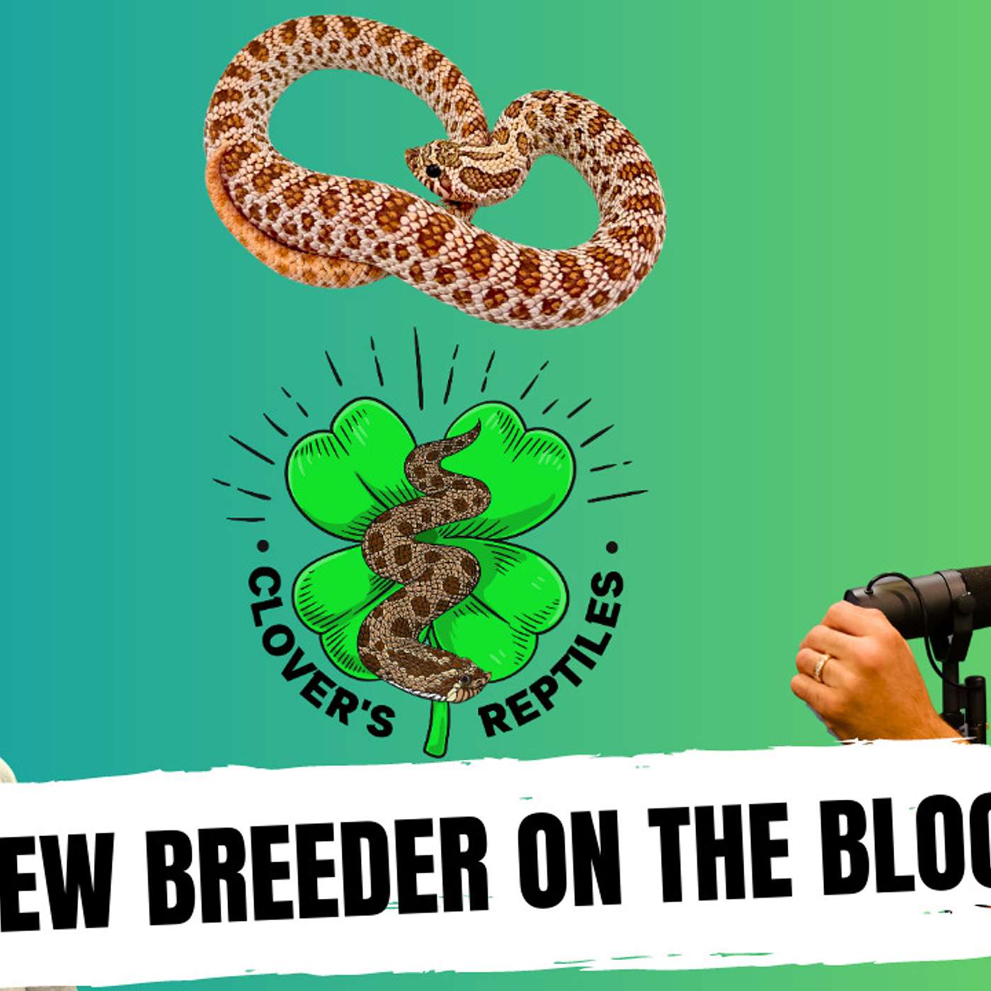 What made Alvaro go big into the Hognose game?