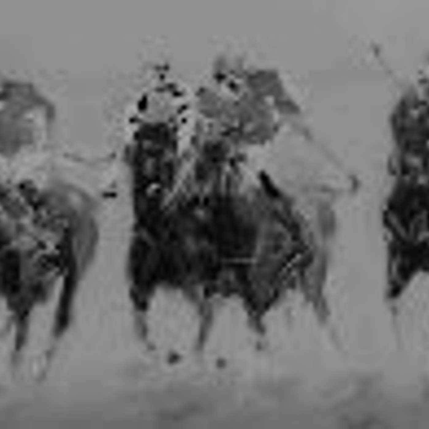 Christy Moore's "Ride On" Christy Moore's "Ride On"