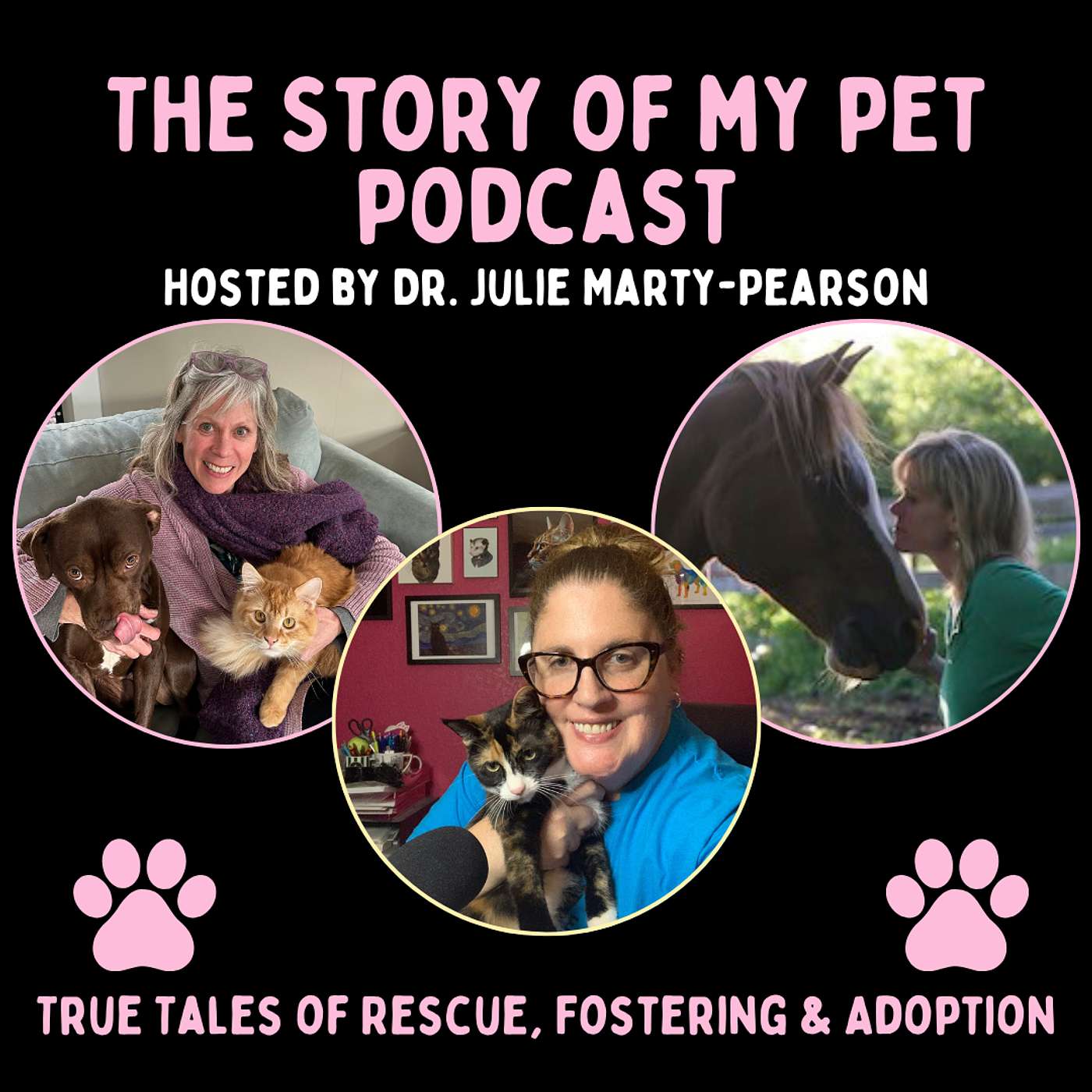 Navigating Life with Animals: Insights on Animal Companionship