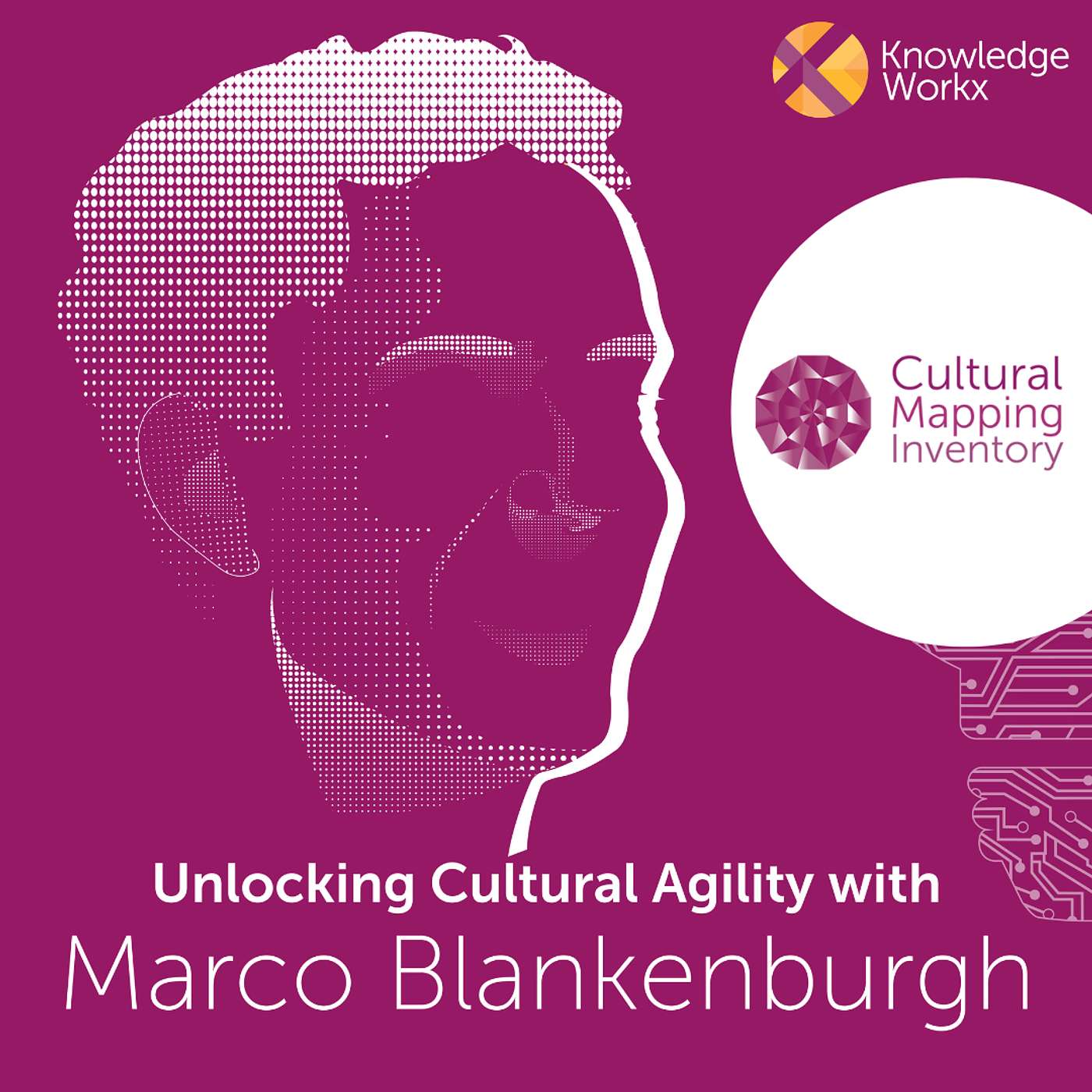 Applying the 12 Dimensions of Culture | Part 2