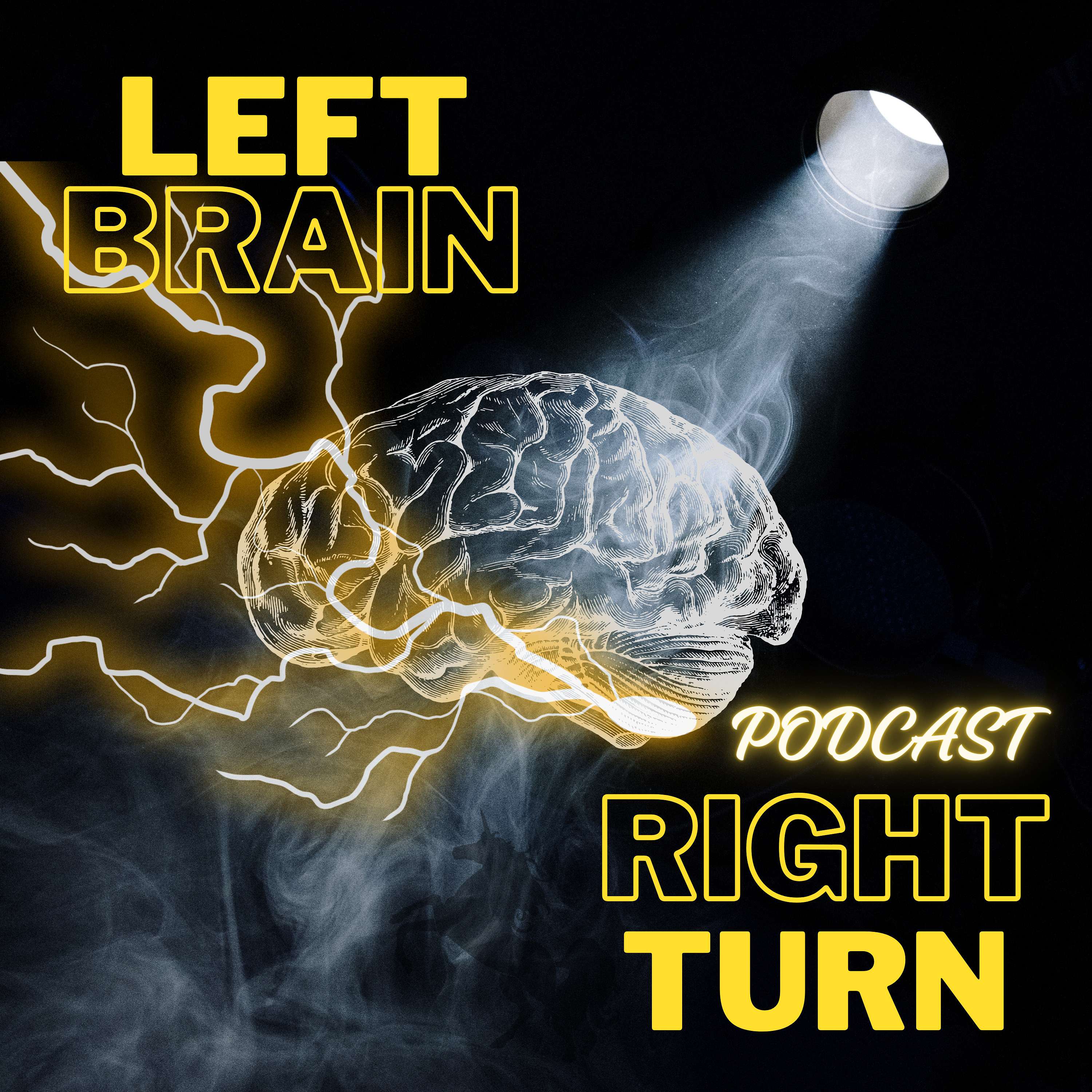 Left Brain Right Turn Podcast