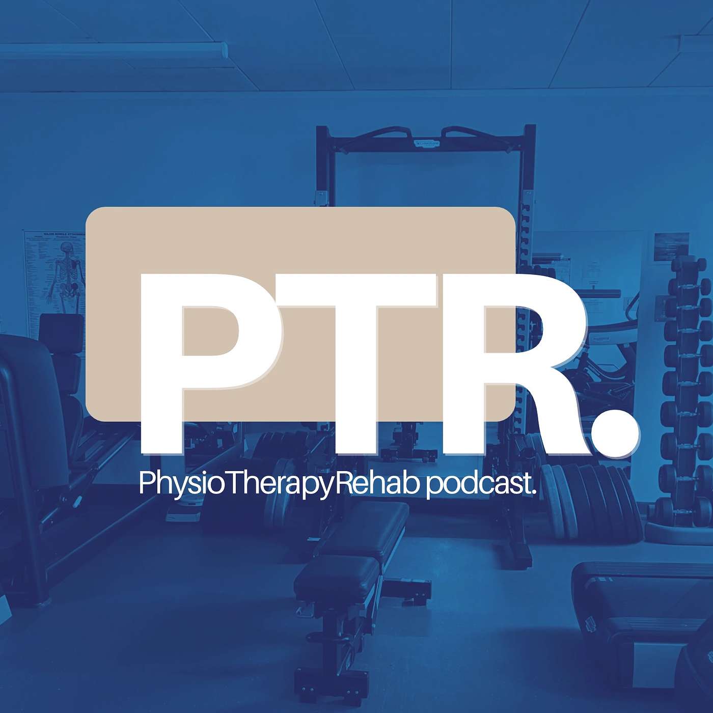 PTR (PhysioTherapyRehab) podcast.