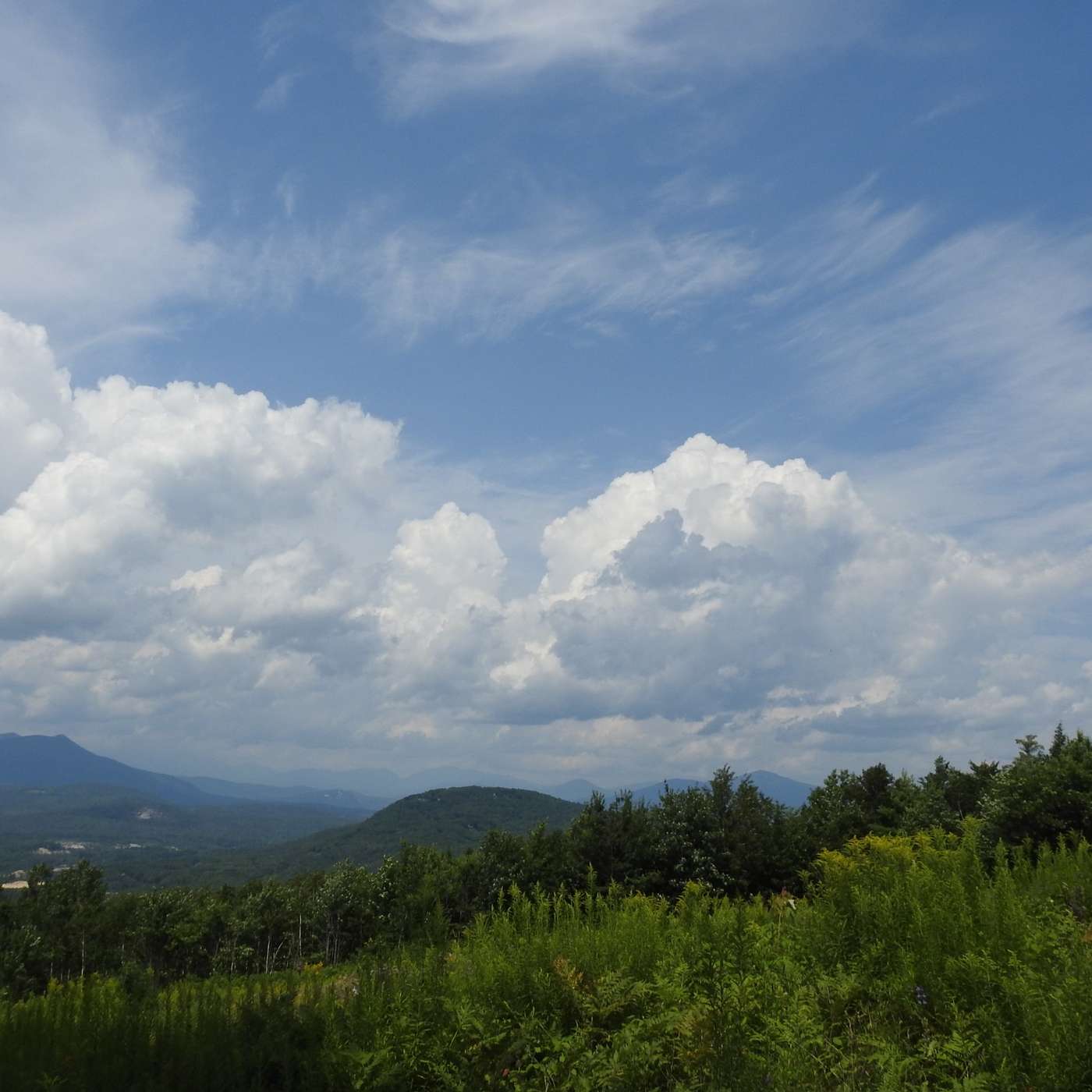 A PERFECT SUMMER DAY