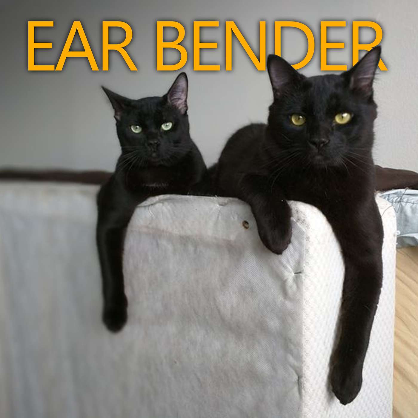 #33 Cat Swap episode artwork