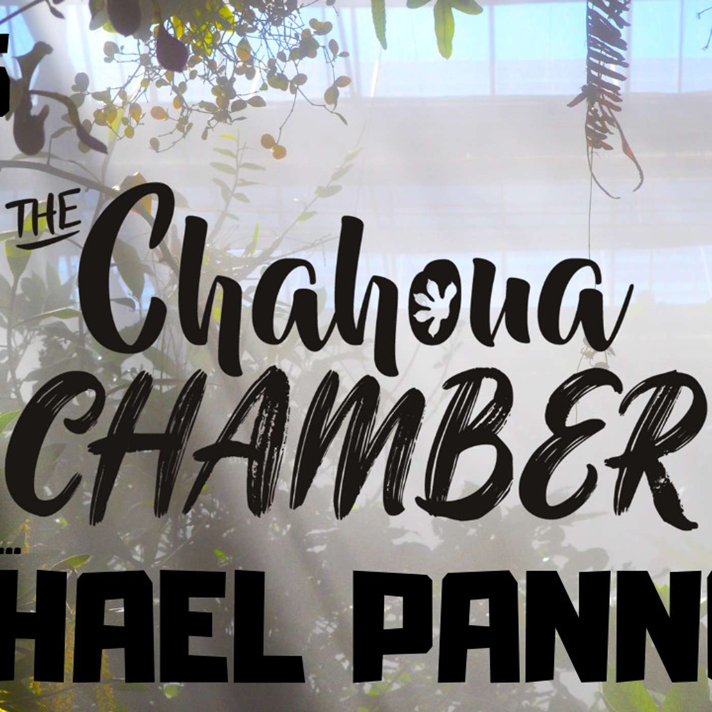 #145 MICHAEL PANNONE OF THE CHAHOUA CHAMBER | MNIAROGEKKO CHAHOUA | ARBOREAL GECKOS | TRAP TALK