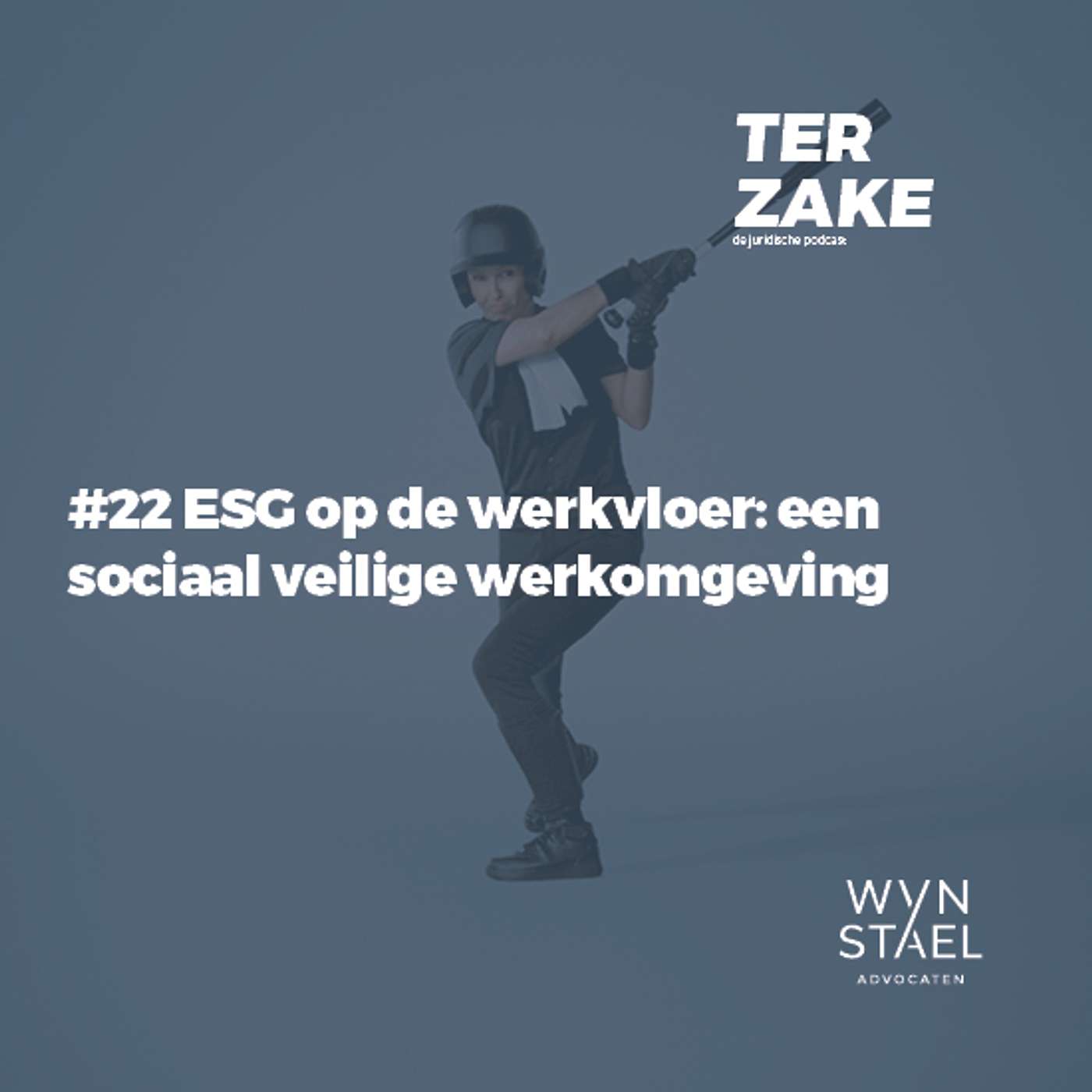 Ter zake