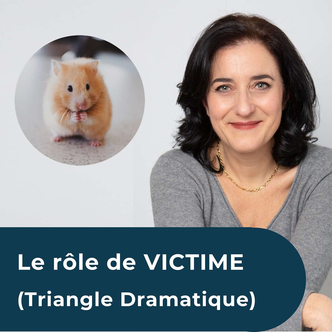 Le rôle de la VICTIME (Jeux psychologiques - Triangle de Karpman) episode artwork
