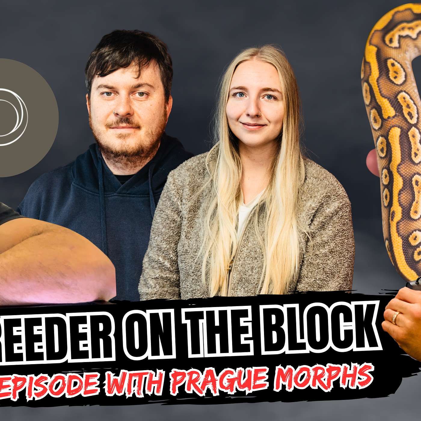 How Much More Meat On The Bone Does The Puzzle Project Have In The Ball Python Game? | NBB Recap episode artwork
