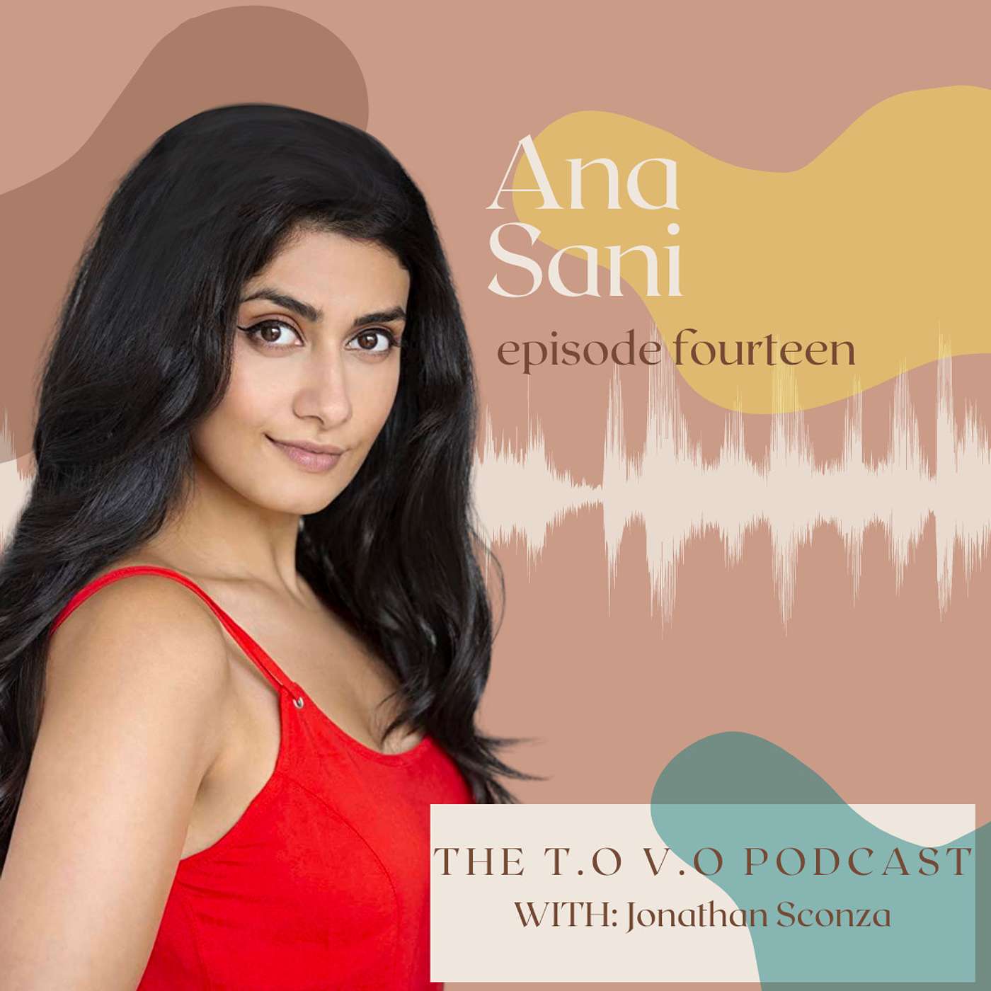 The TO VO Podcast