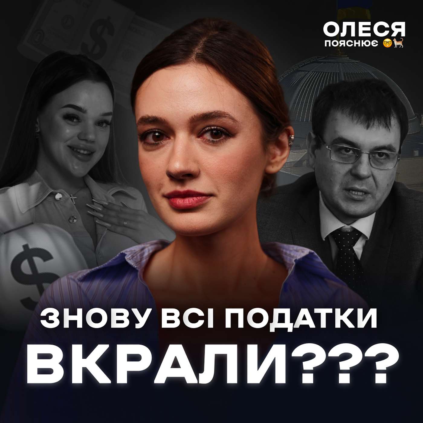 Податки, корупція, тіньова економіка та до чого тут інстаблогери / Олеся пояснює 🤓🐈💸