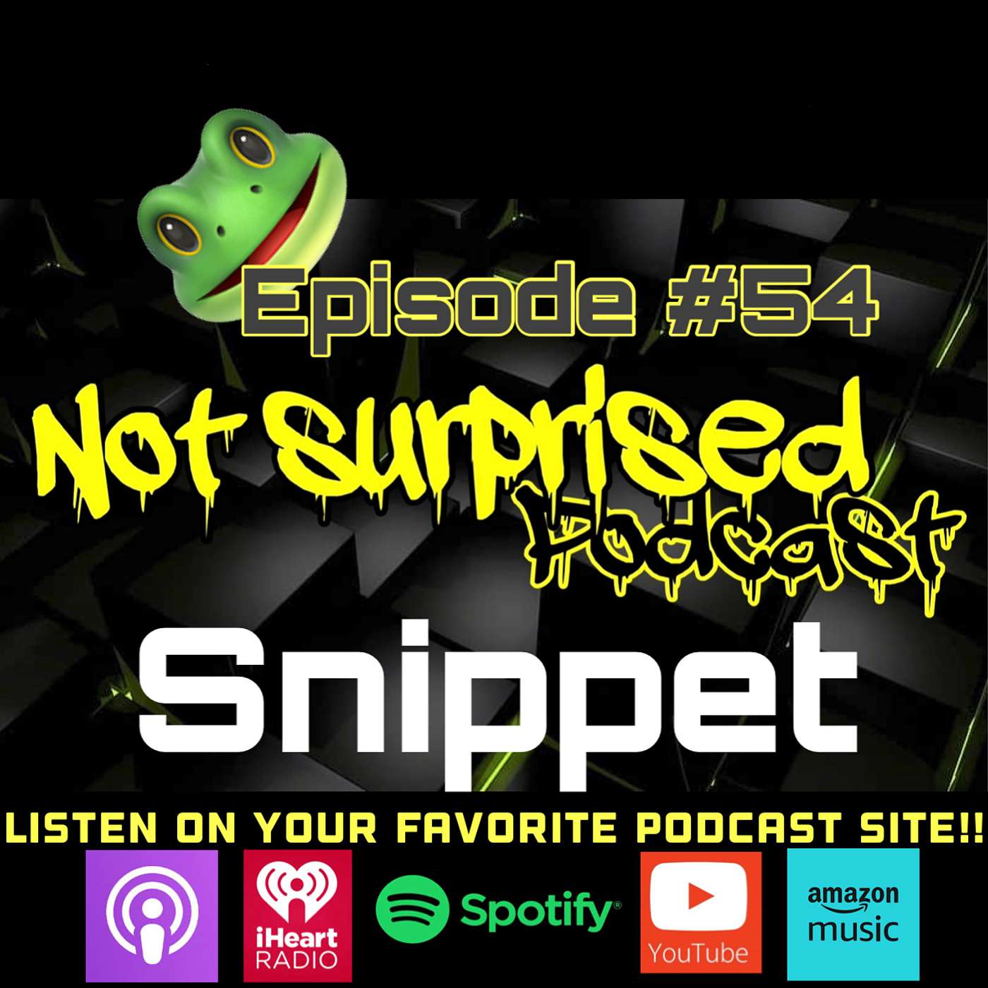 Not Surprised Podcast