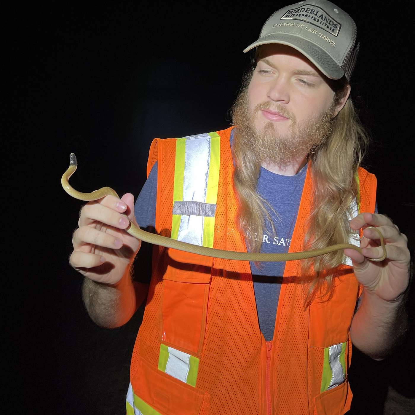 S1 E25: Deep in the Heart of Texas. Birding and Herping the Trans-Pecos with Stephen Falick. episode artwork