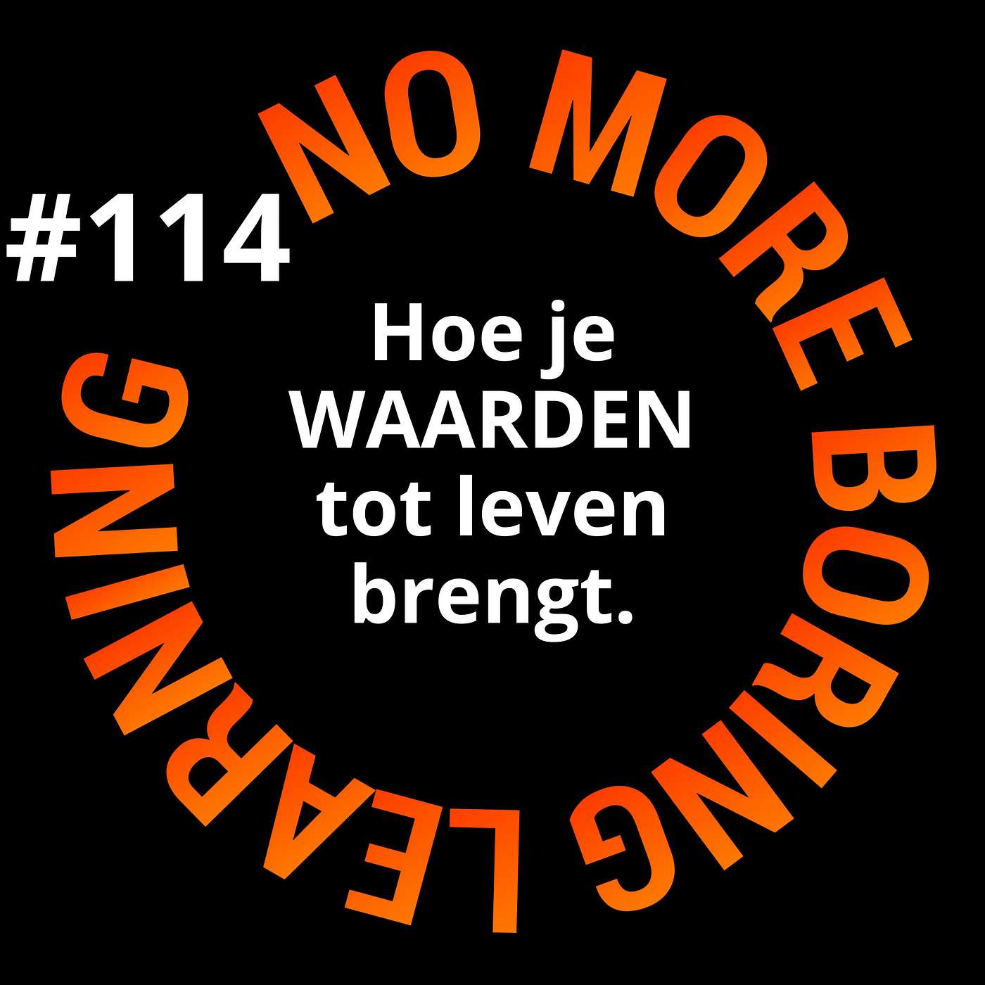 114. Hoe je kernwaarden tot leven brengt.