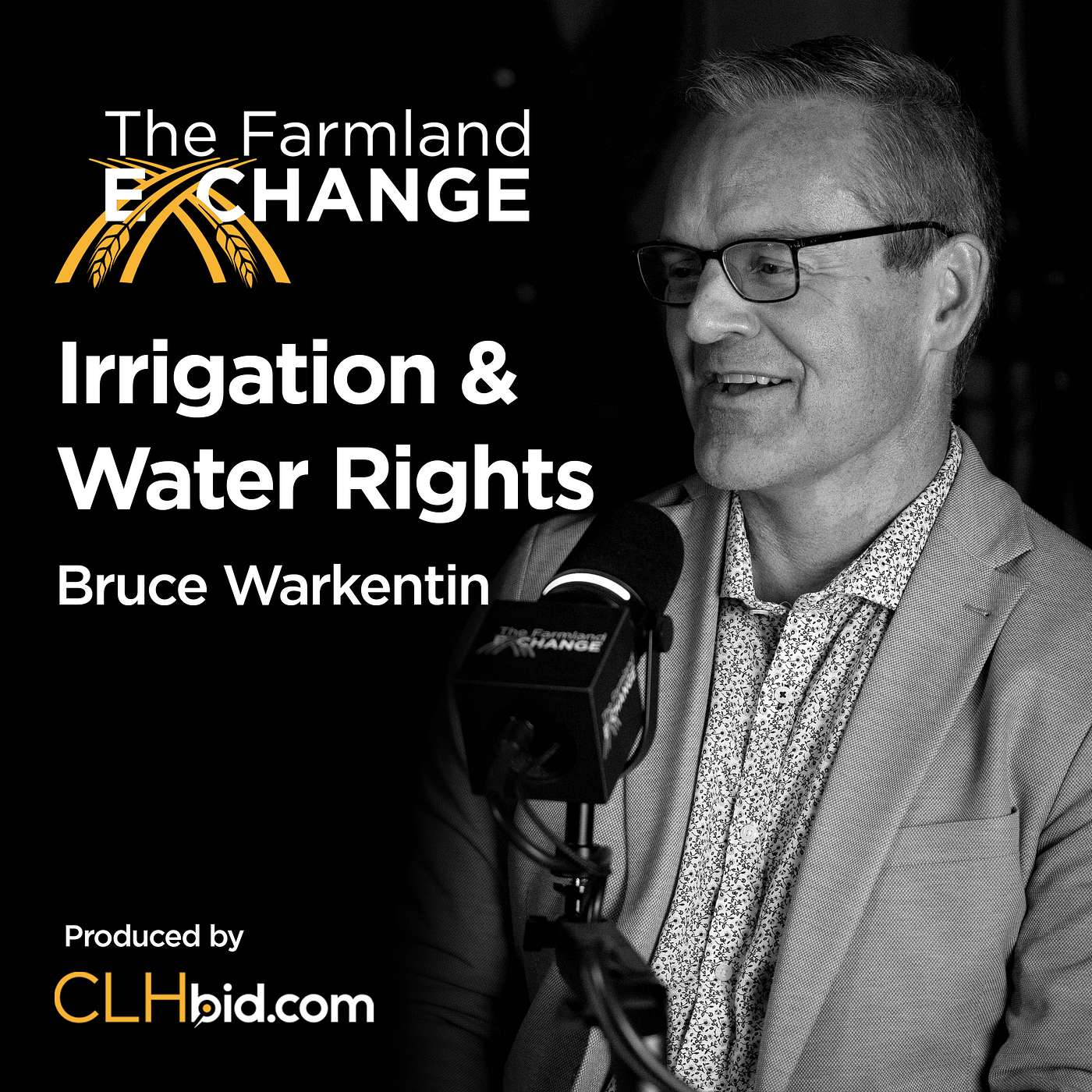 Podcast Episode Artwork