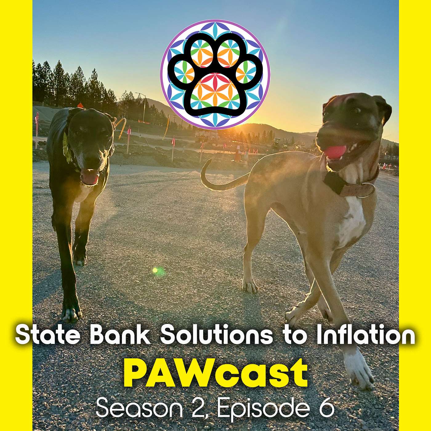 Inflation... How About State-Based Banks? episode artwork