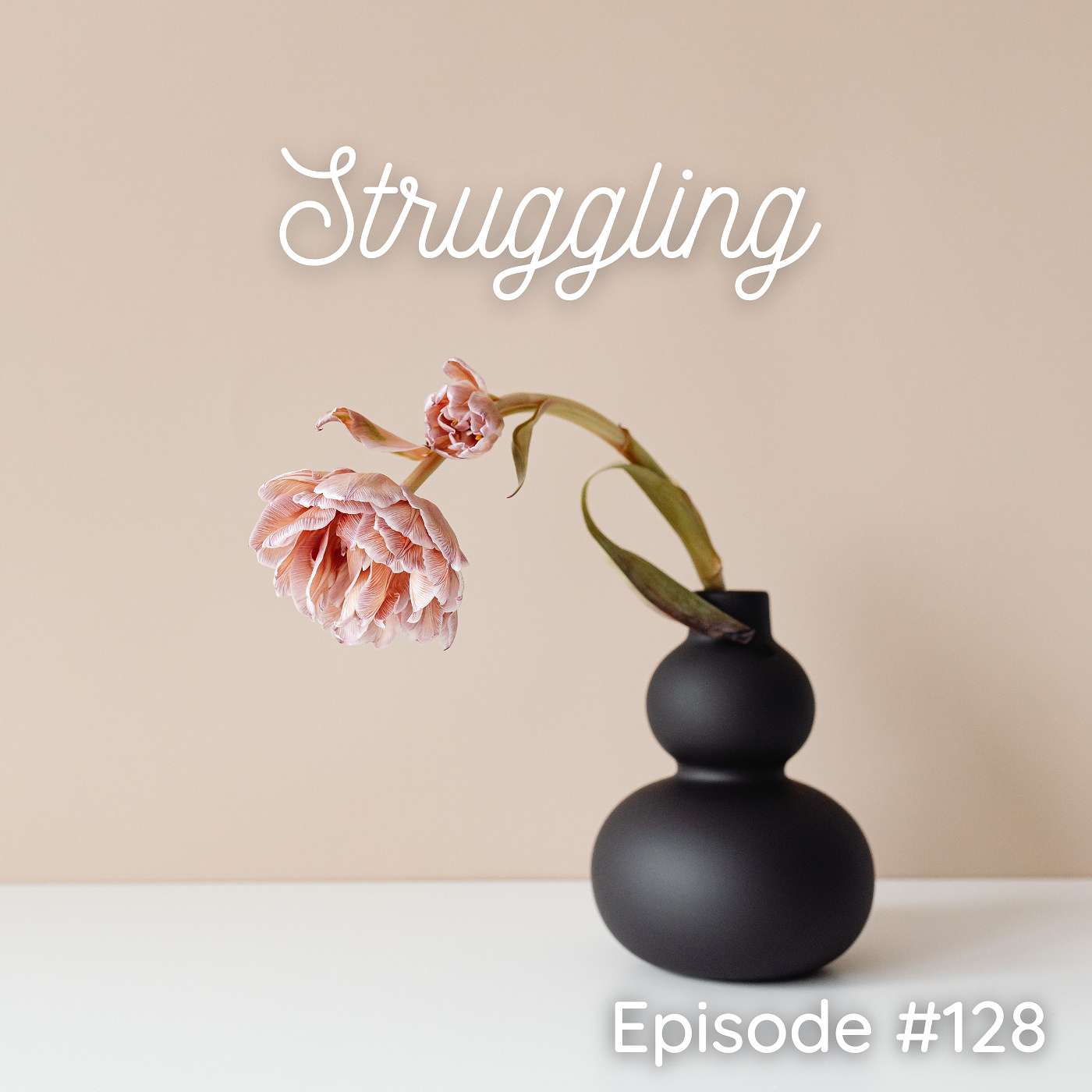 Struggling - Episode #128