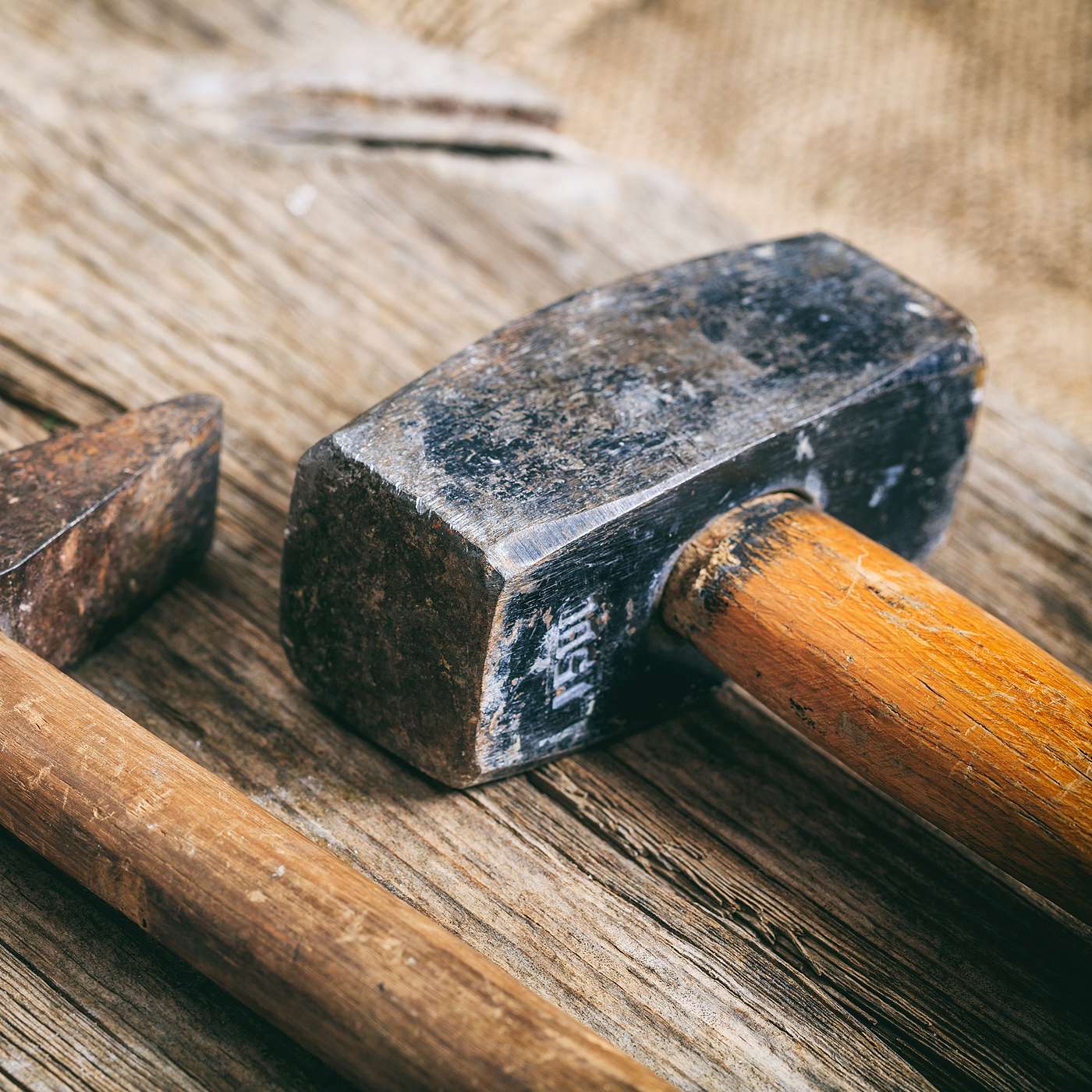 Keep Building Your Ark Keep Building Your Ark