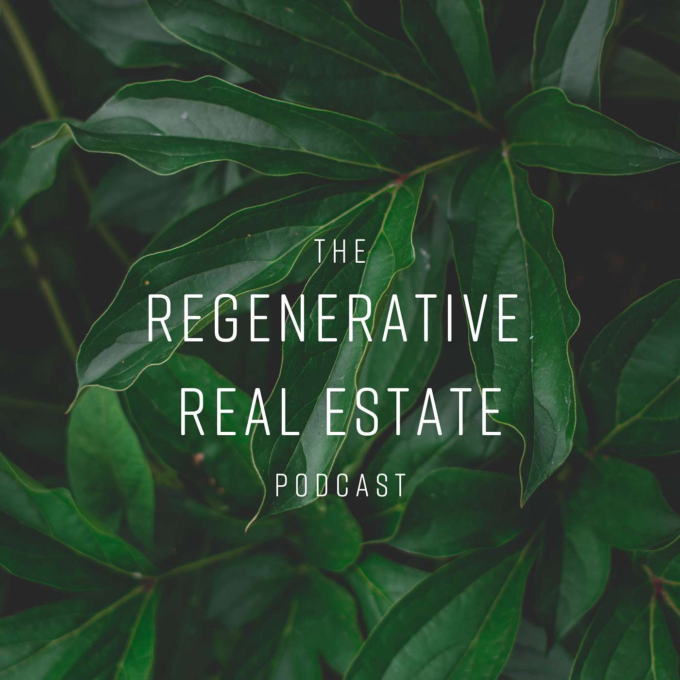 The Regenerative Real Estate Podcast