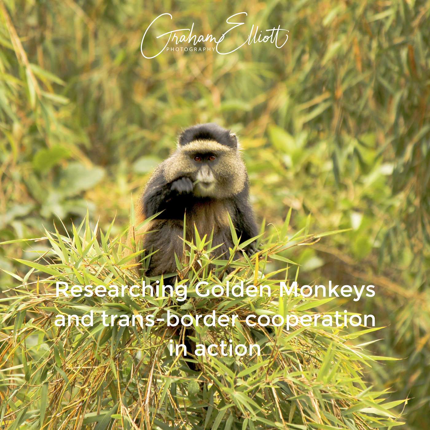 Wildlife and Adventure Photography