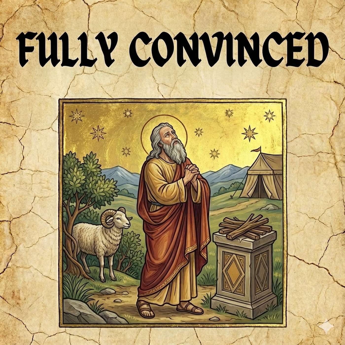 FULLY CONVINCED episode artwork
