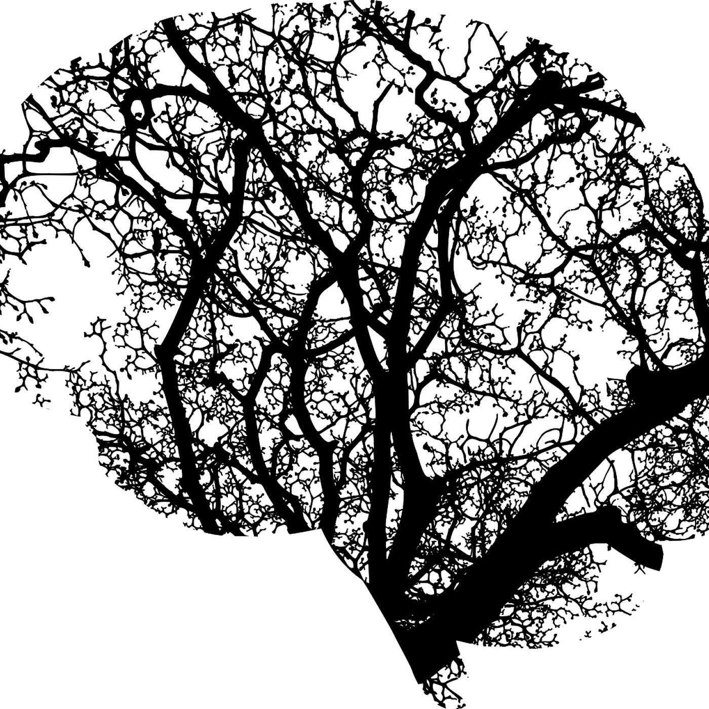 Part 1, The Garden of Your Mind
