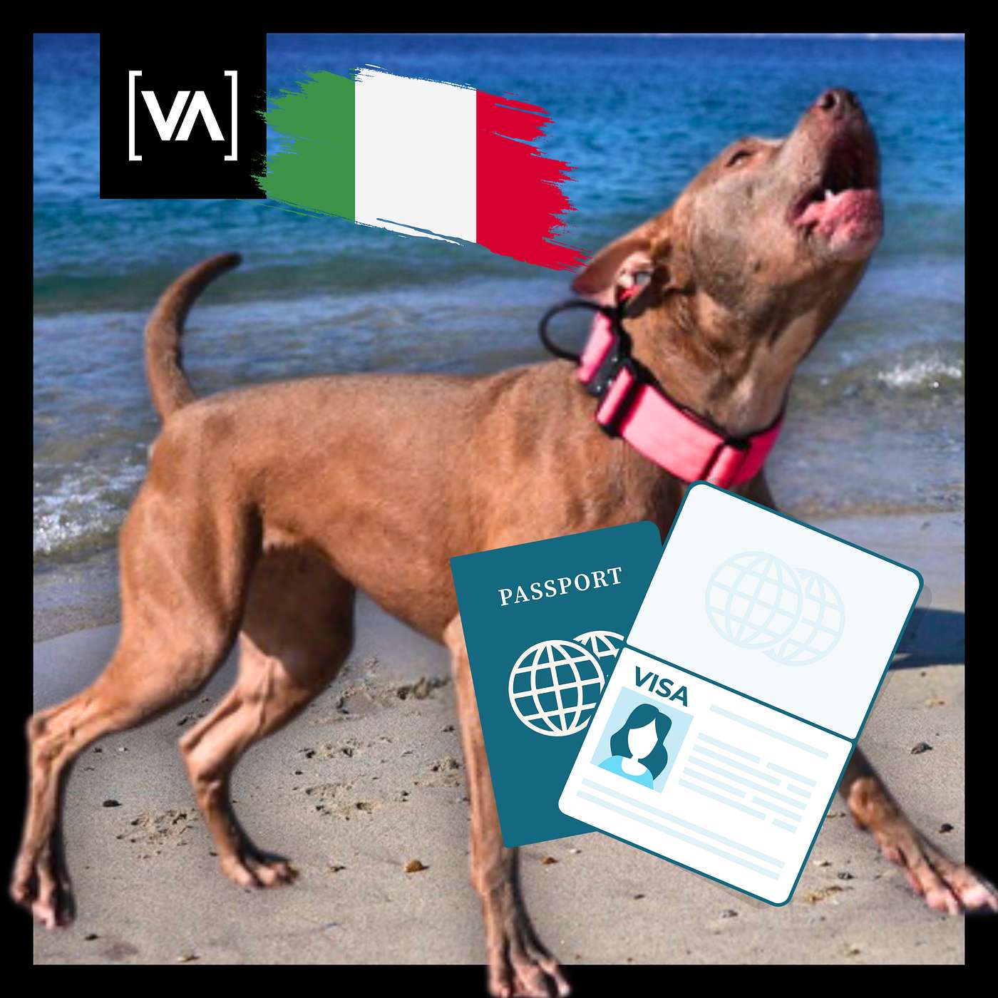 Italien mit Hund? Diese Fehler machen fast alle! Episode 12