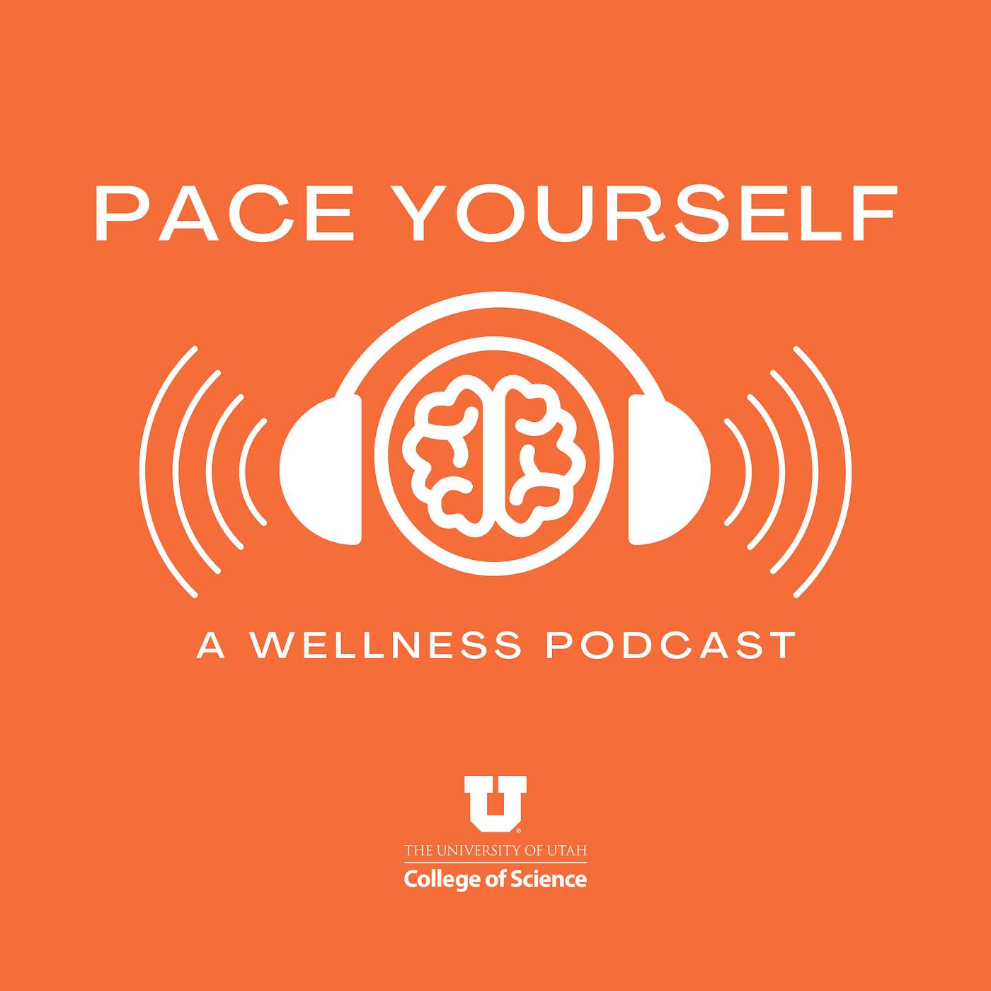 Season 2 Episode 8: Analyzing Modern Spiritual Wellness with Reverend Cindy Solomon-Klebba