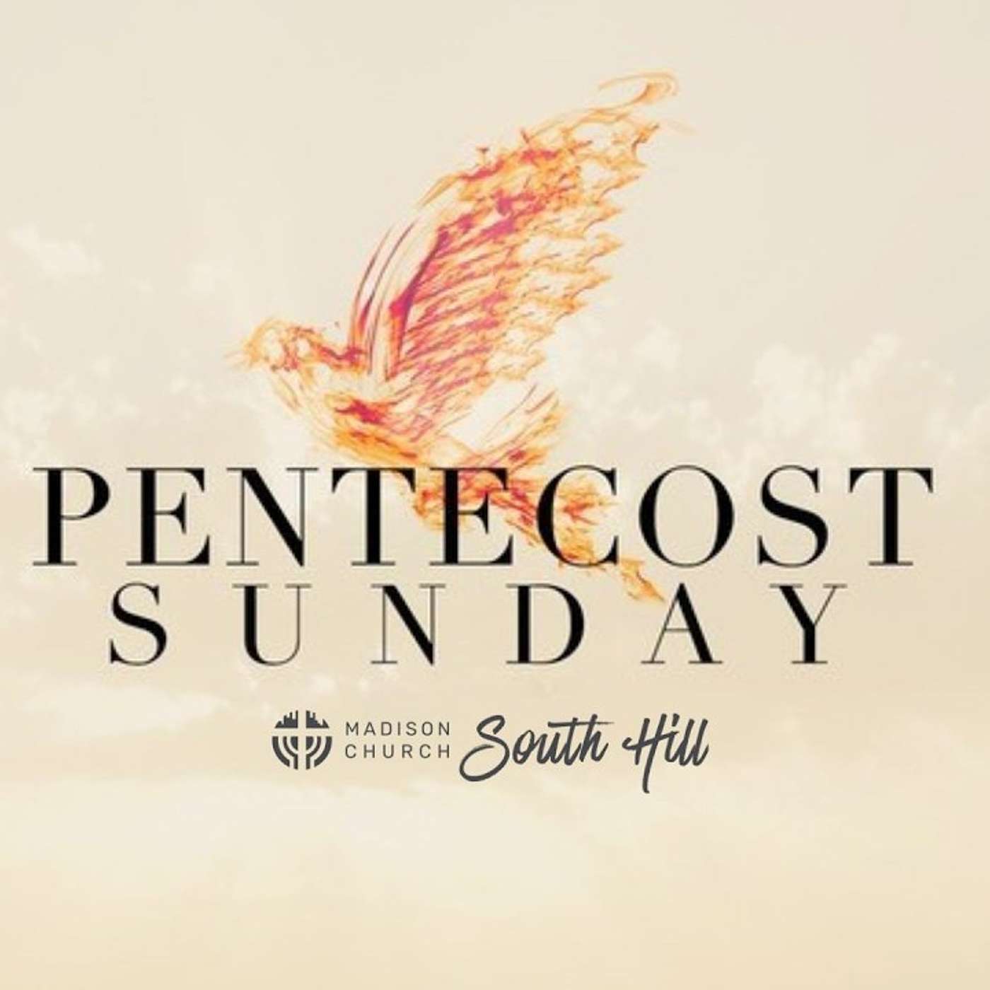 "Pentecost" W/Pastor Paula episode artwork