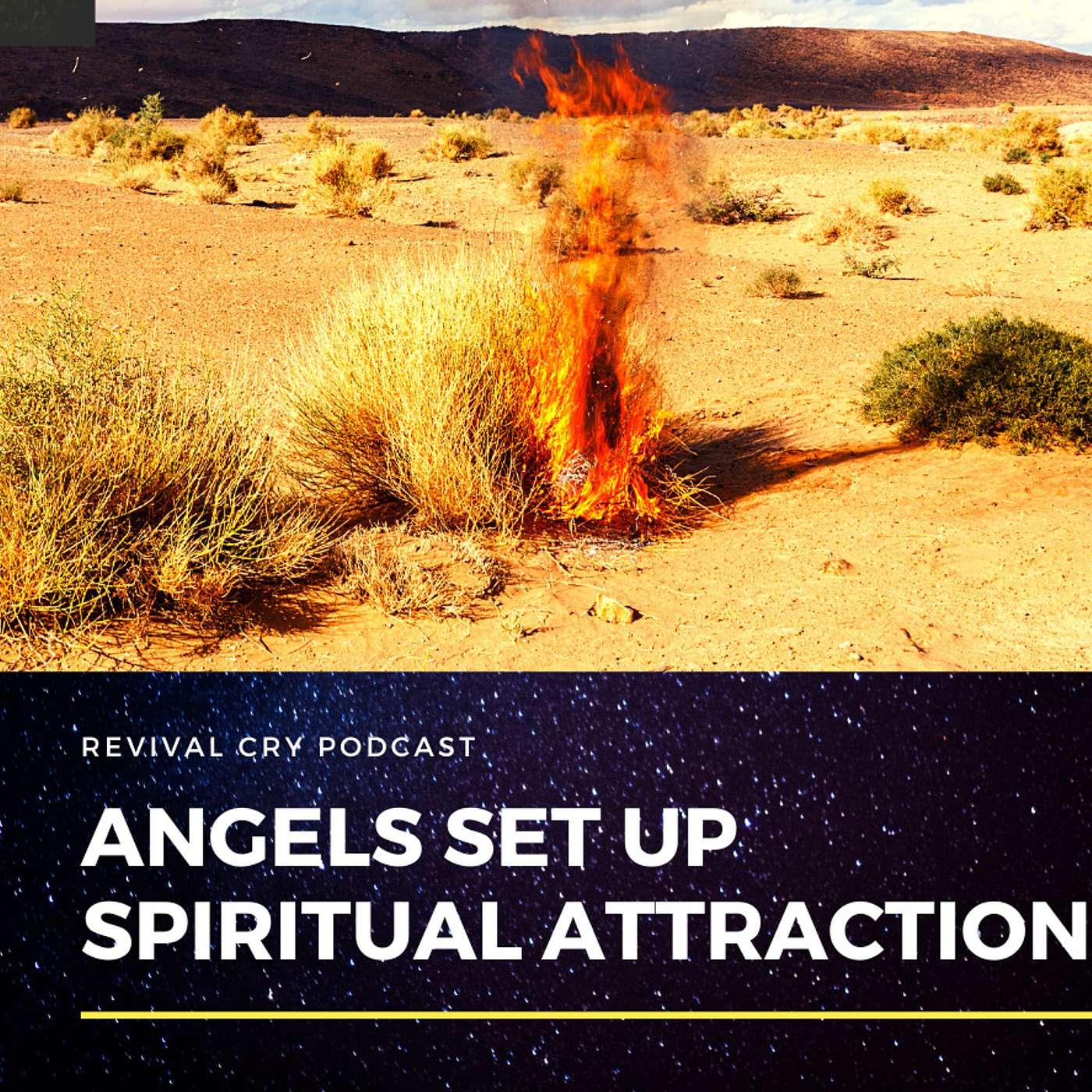 Revival Cry Podcast
