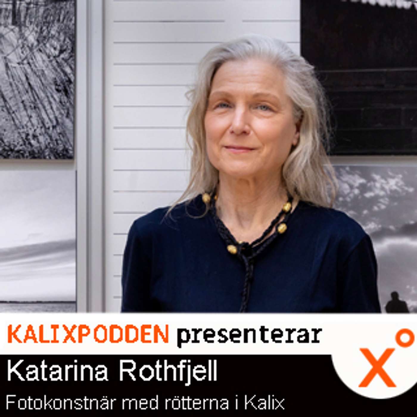 Katarina Rotfjell | Med fotokonst från Kalix till Venedig