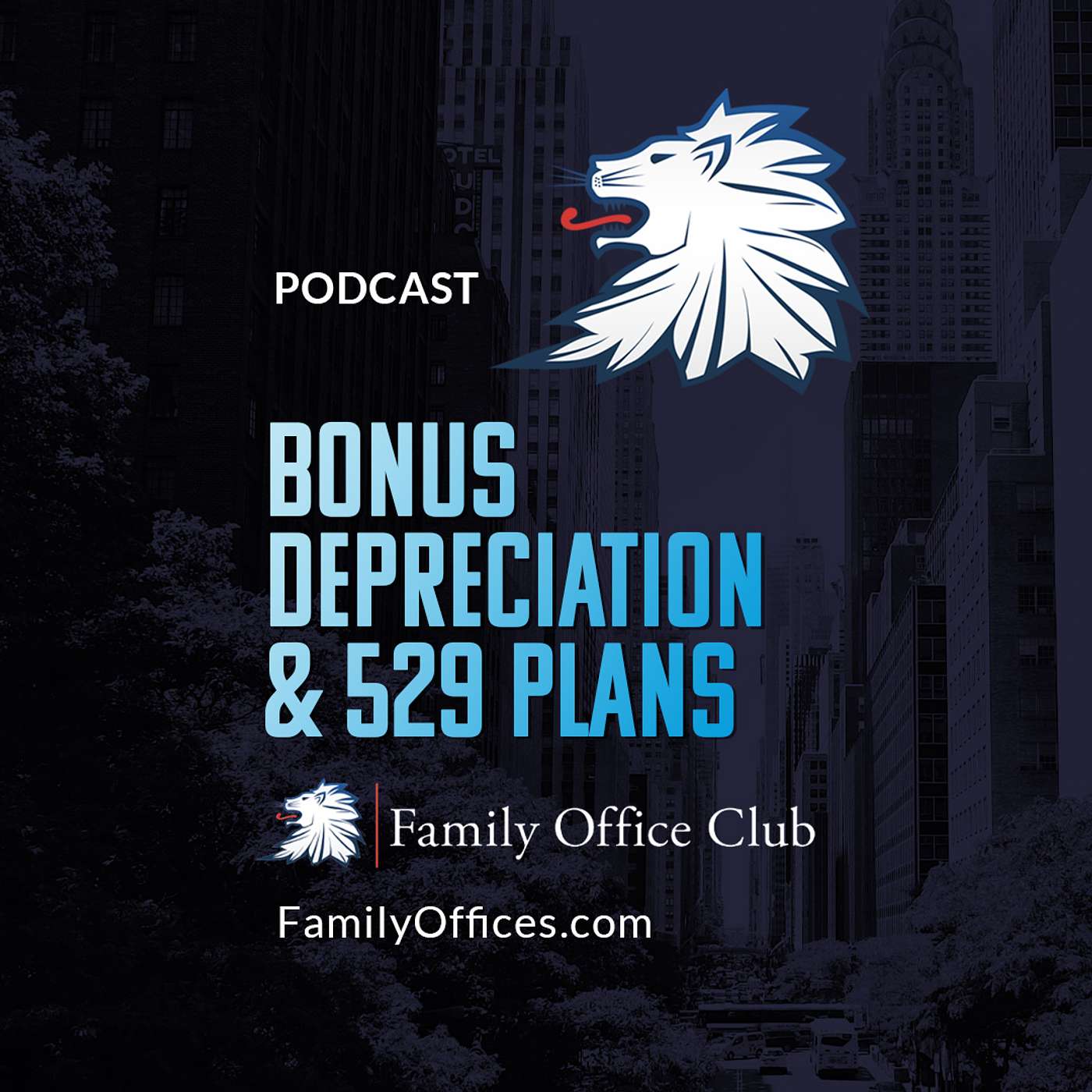 Bonus Depreciation & 529 Plans