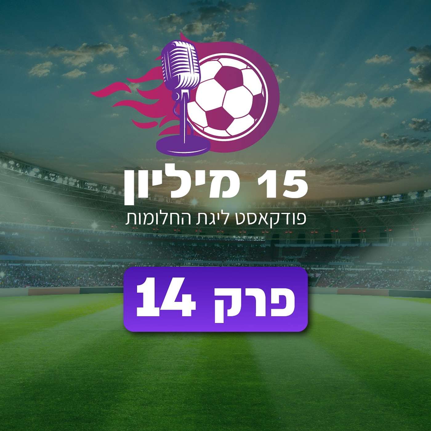 פרק 14 - הגנות גדולות