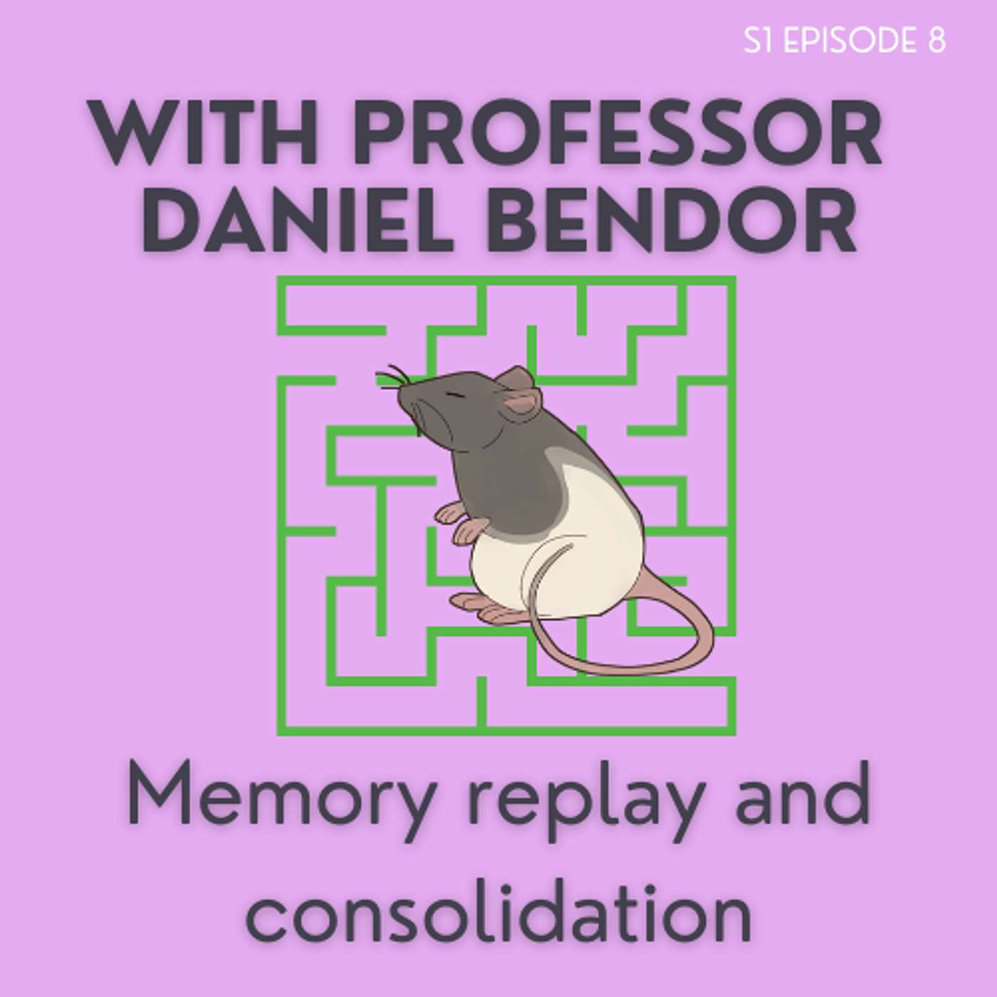 Episode 8: Daniel Bendor: Memory Replay and Consolidation in Rodents