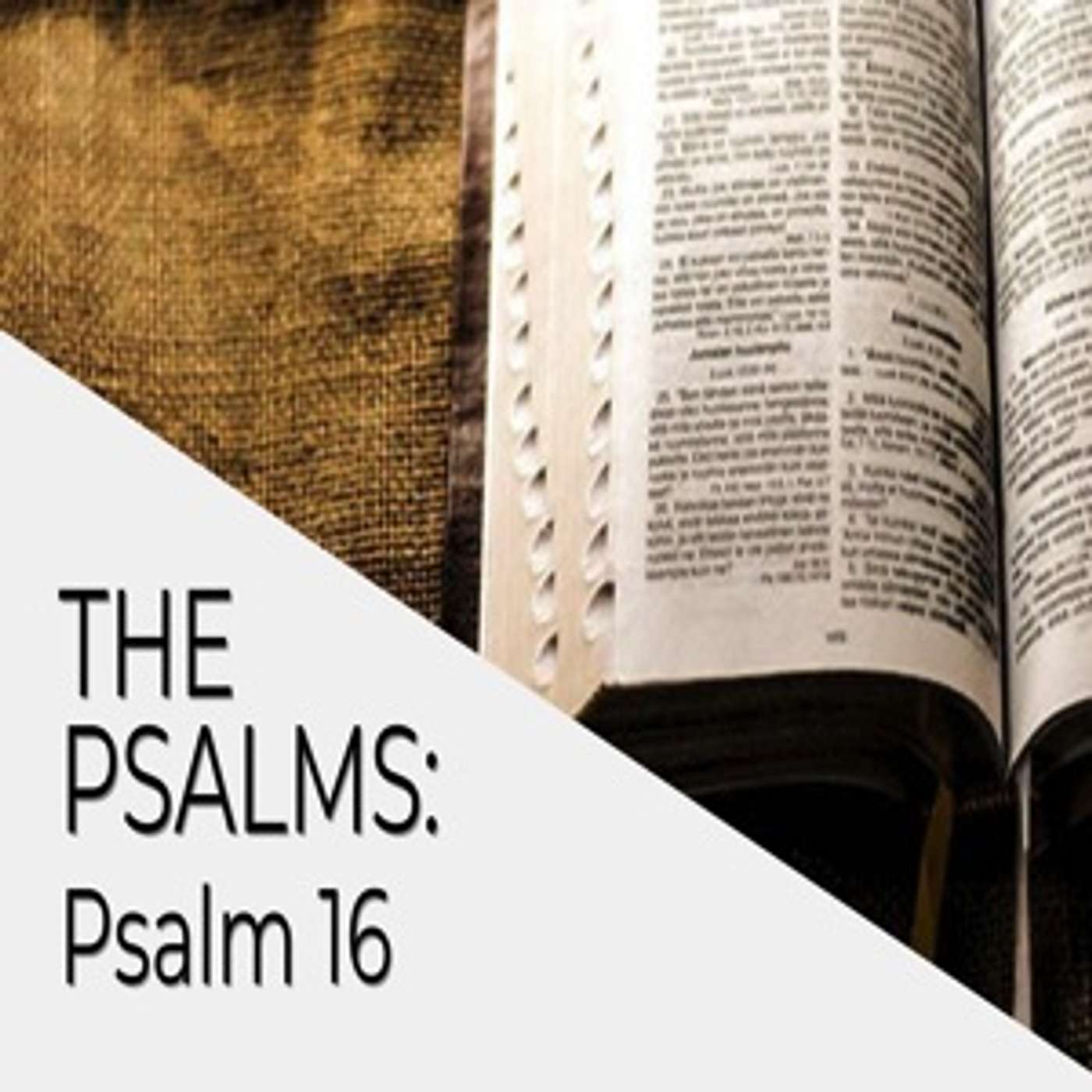 The Psalms - Psalm 16 - Fraser Dodds episode artwork