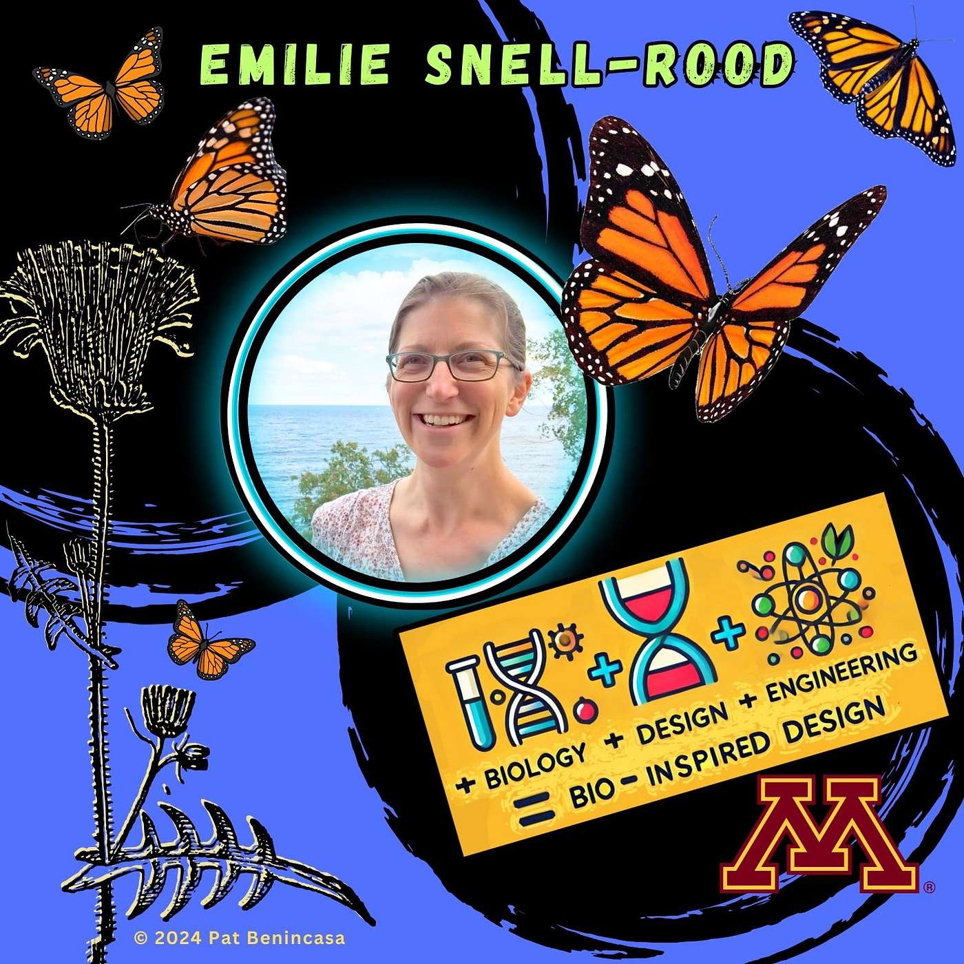 The Butterfly Effect: Making Butterfly Magic